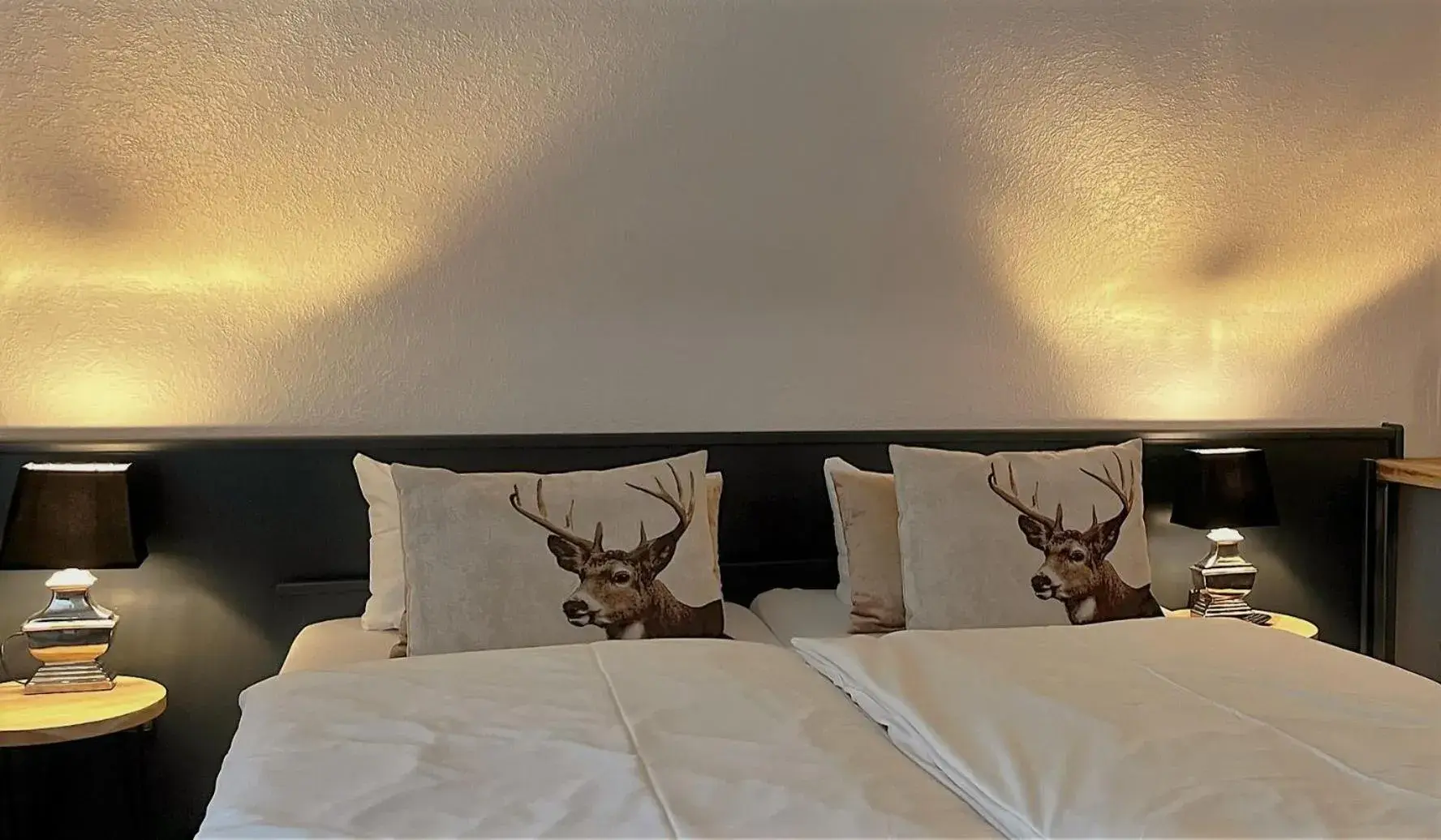 Double Room with Balcony in Harz hotel Iris Double Room with Balcony in Harz hotel Iris