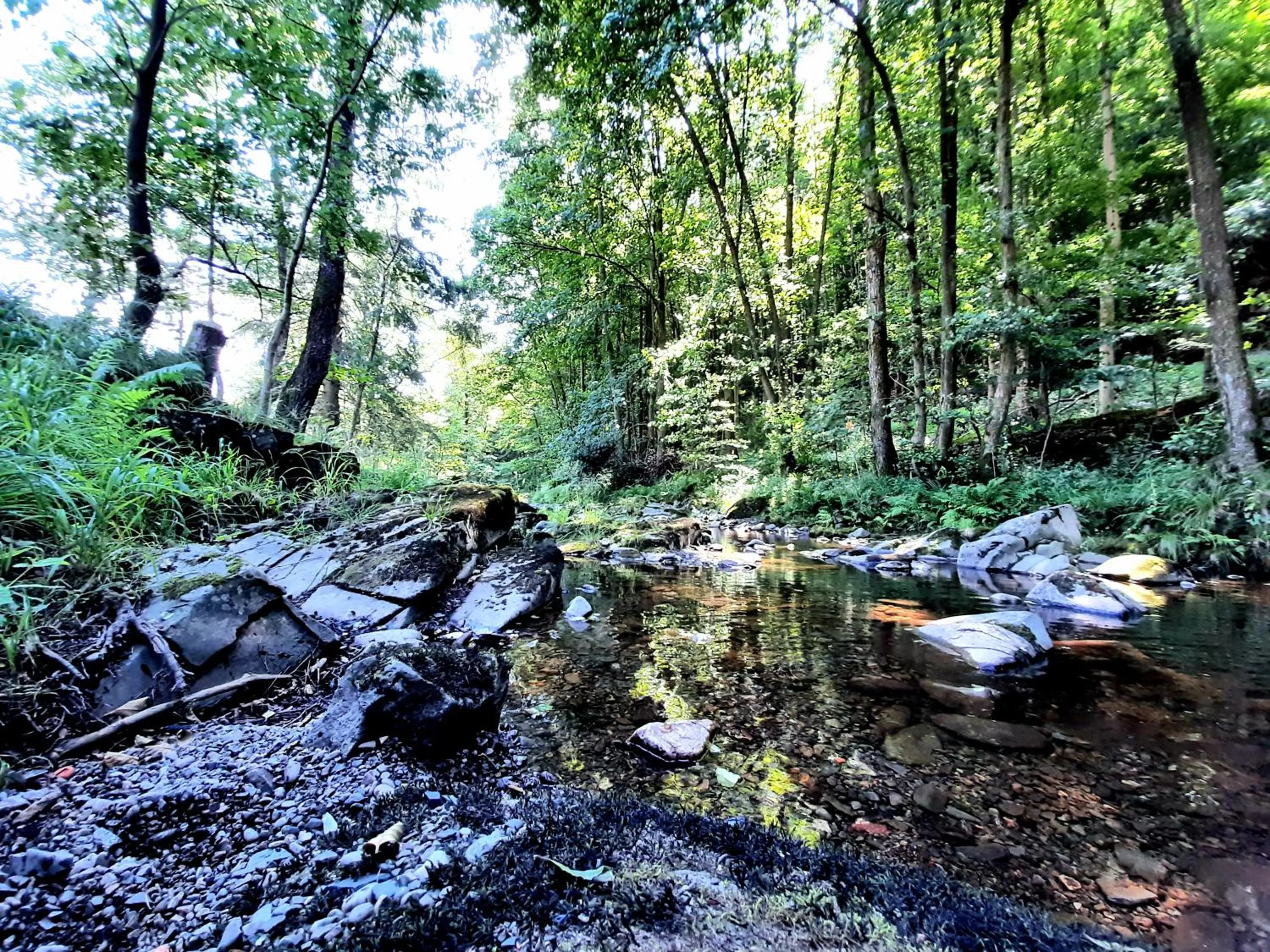 Hiking in Harz hotel Iris