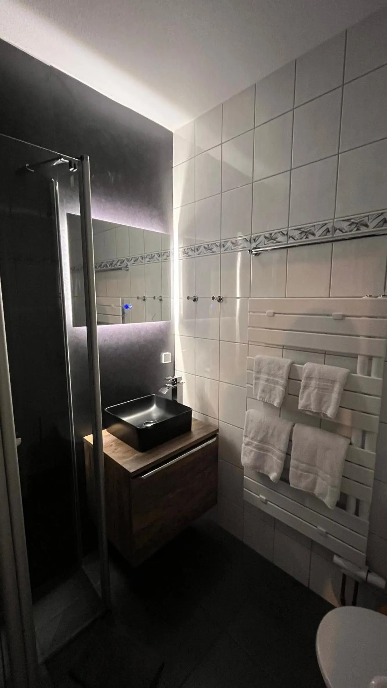 Toilet in Harz hotel Iris