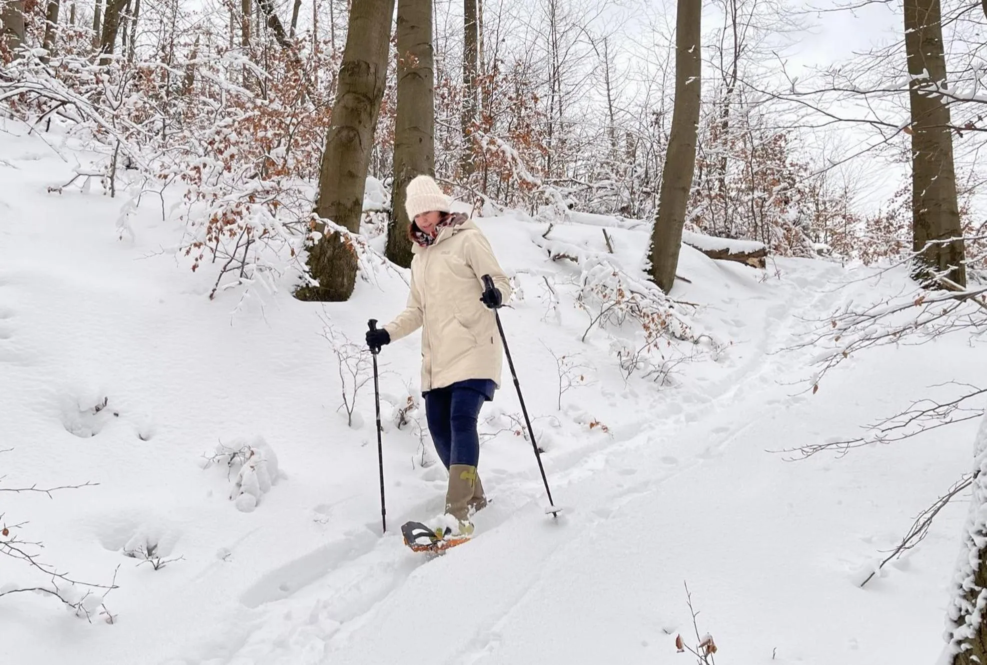 Natural landscape in Harz hotel Iris