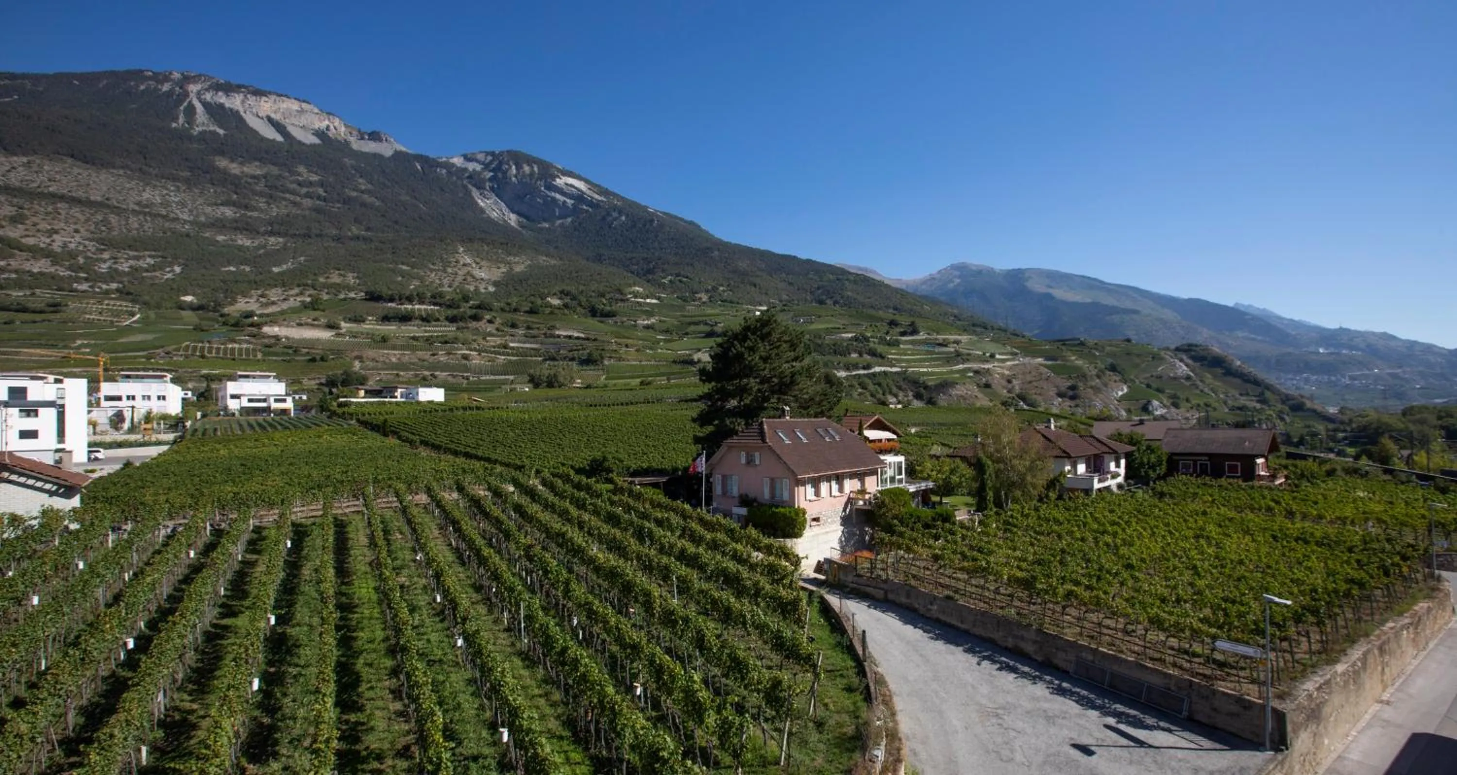 Property building in Agence ALV - Art Le Vin