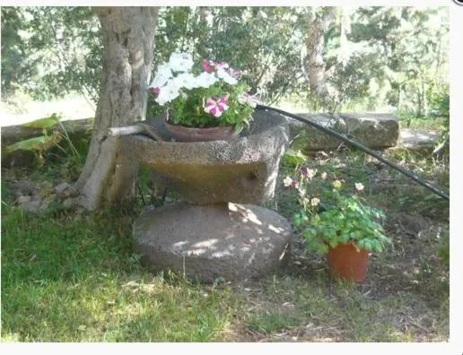 Garden in B&B Santu Larentu