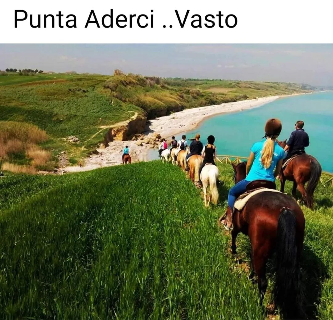 VENTO DEL SUD