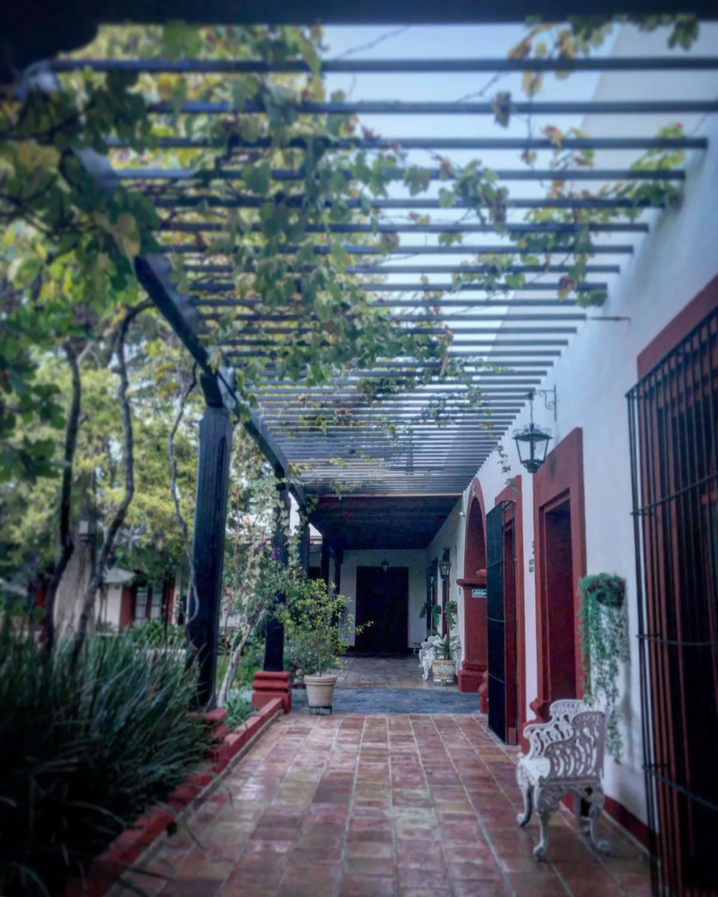 Garden in Hotel El Farol
