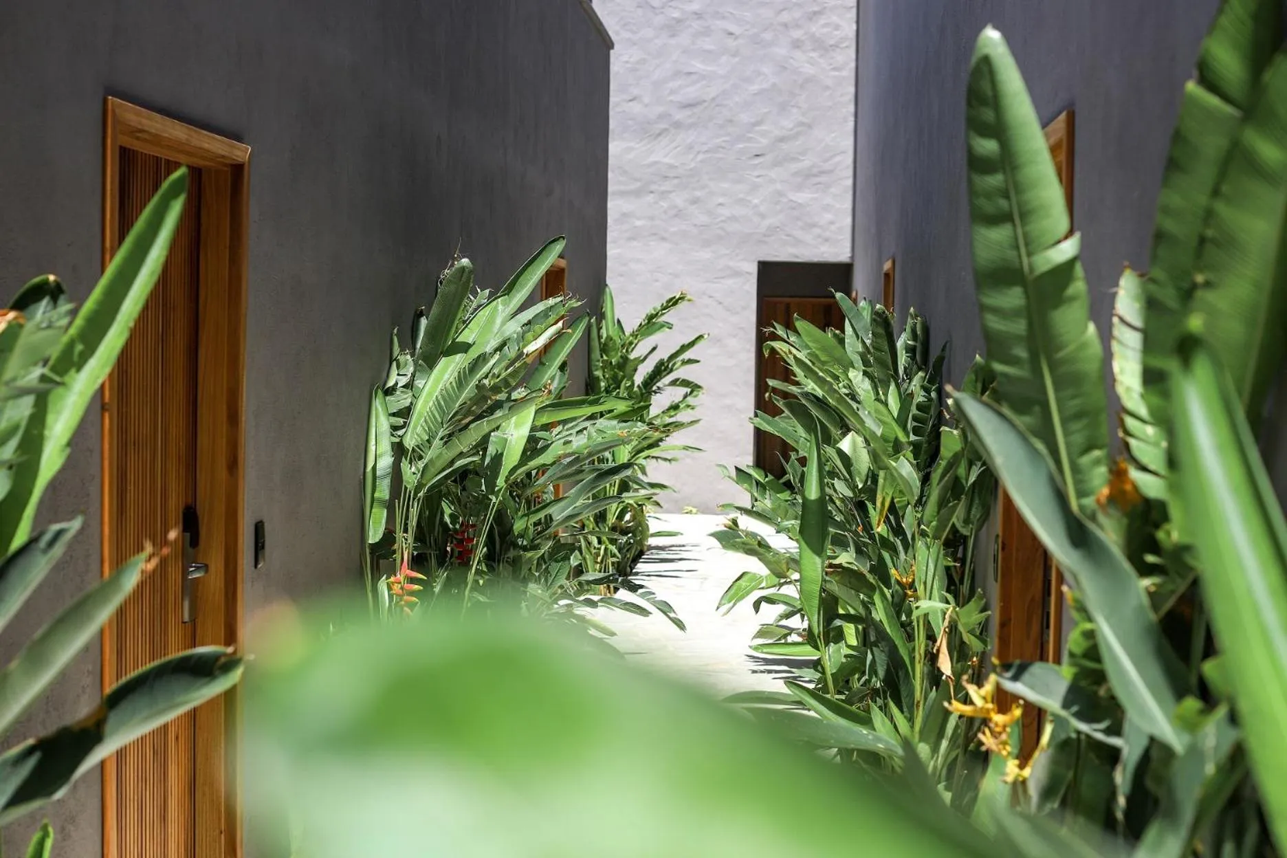 Property building in Makena Hotel