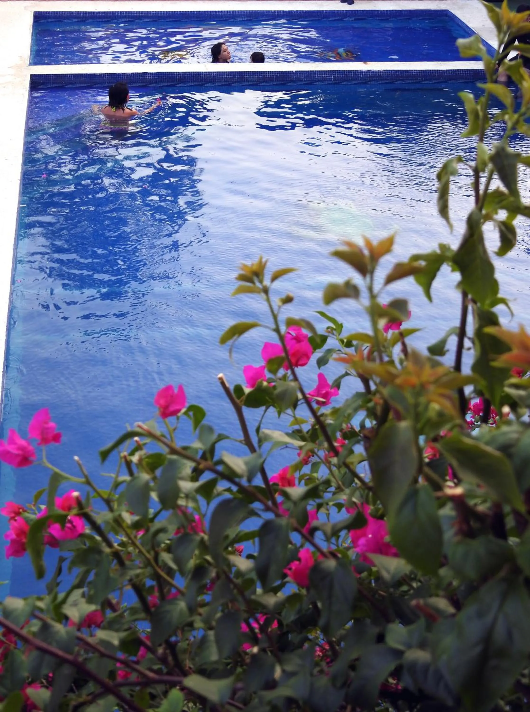 Pool view in Don Luis Hostal - Sucursal Galeana - Tecolutla