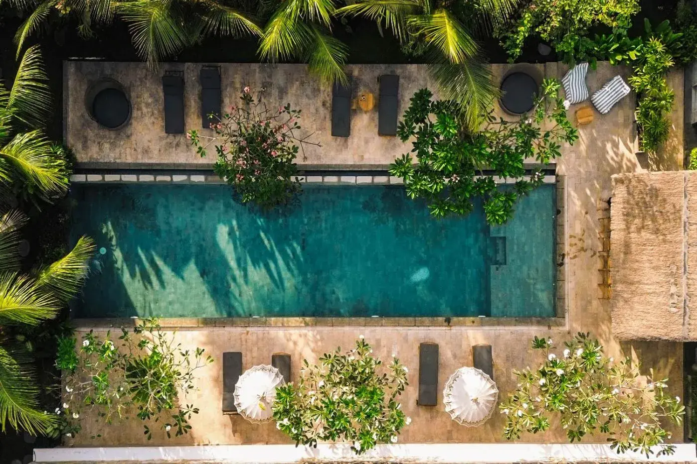 Pool view in Kahayana Suites Ubud Pool view in Kahayana Suites Ubud