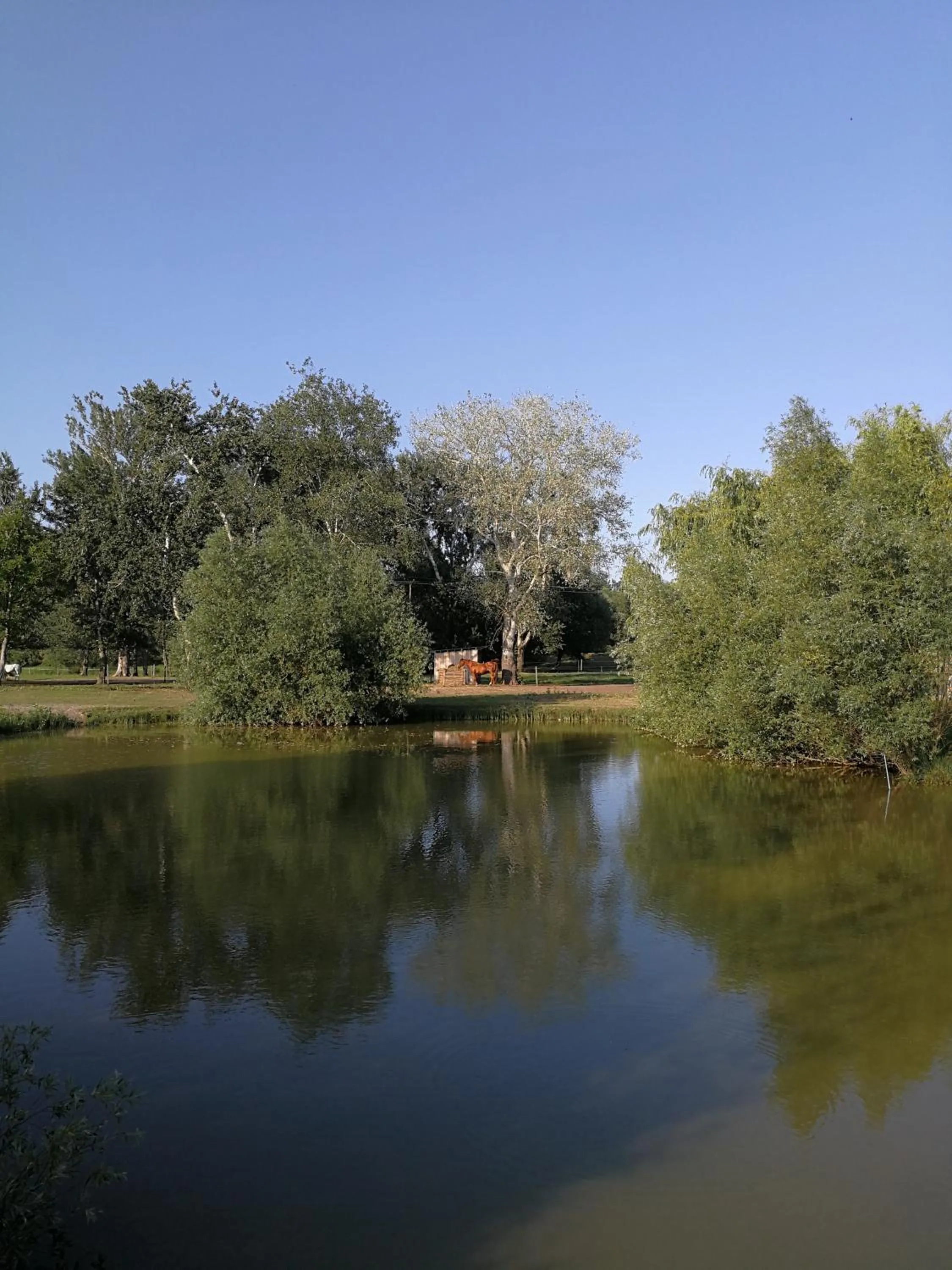 Viktória Lovas Panzió