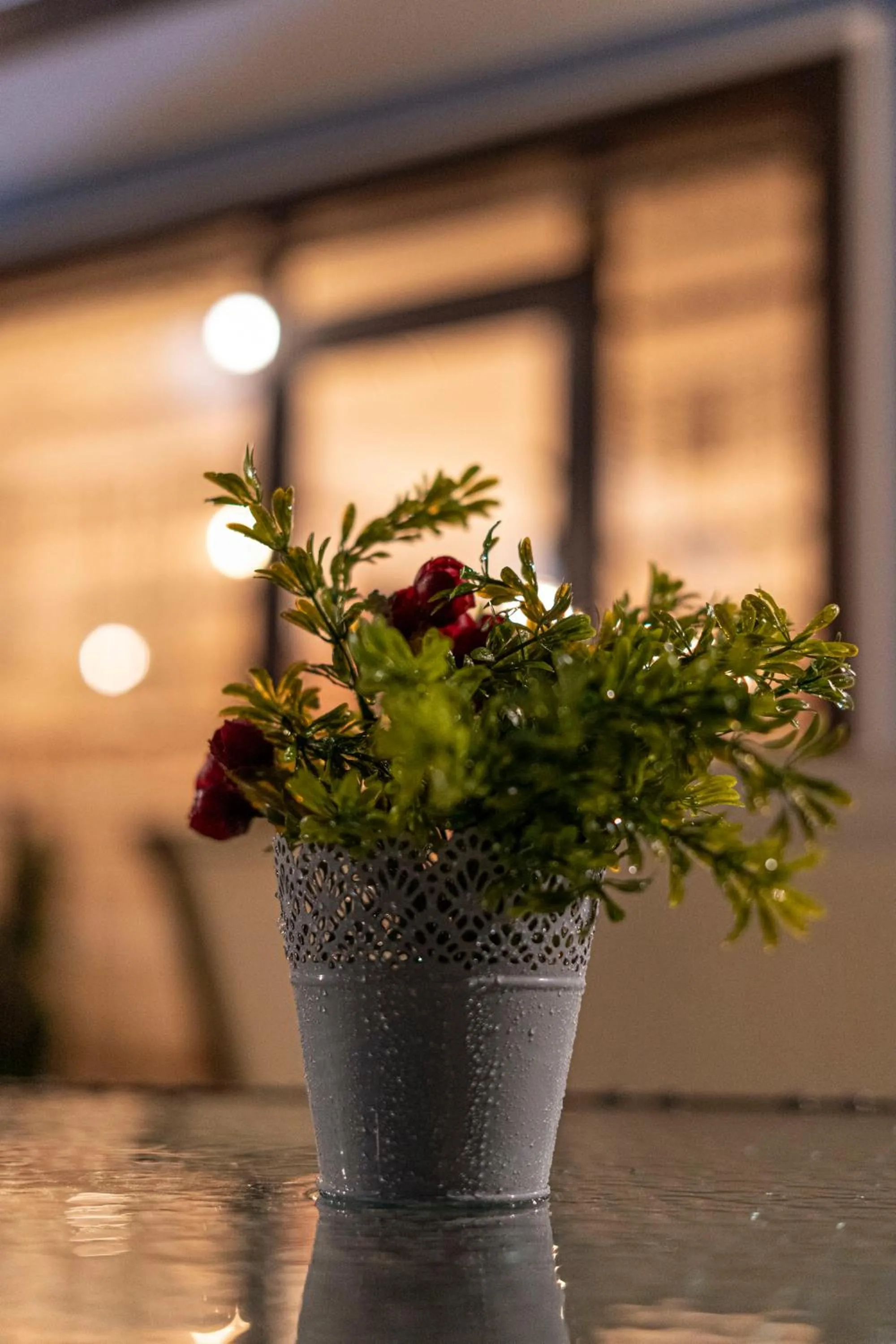 Garden in Pulpudeva Family Hotel