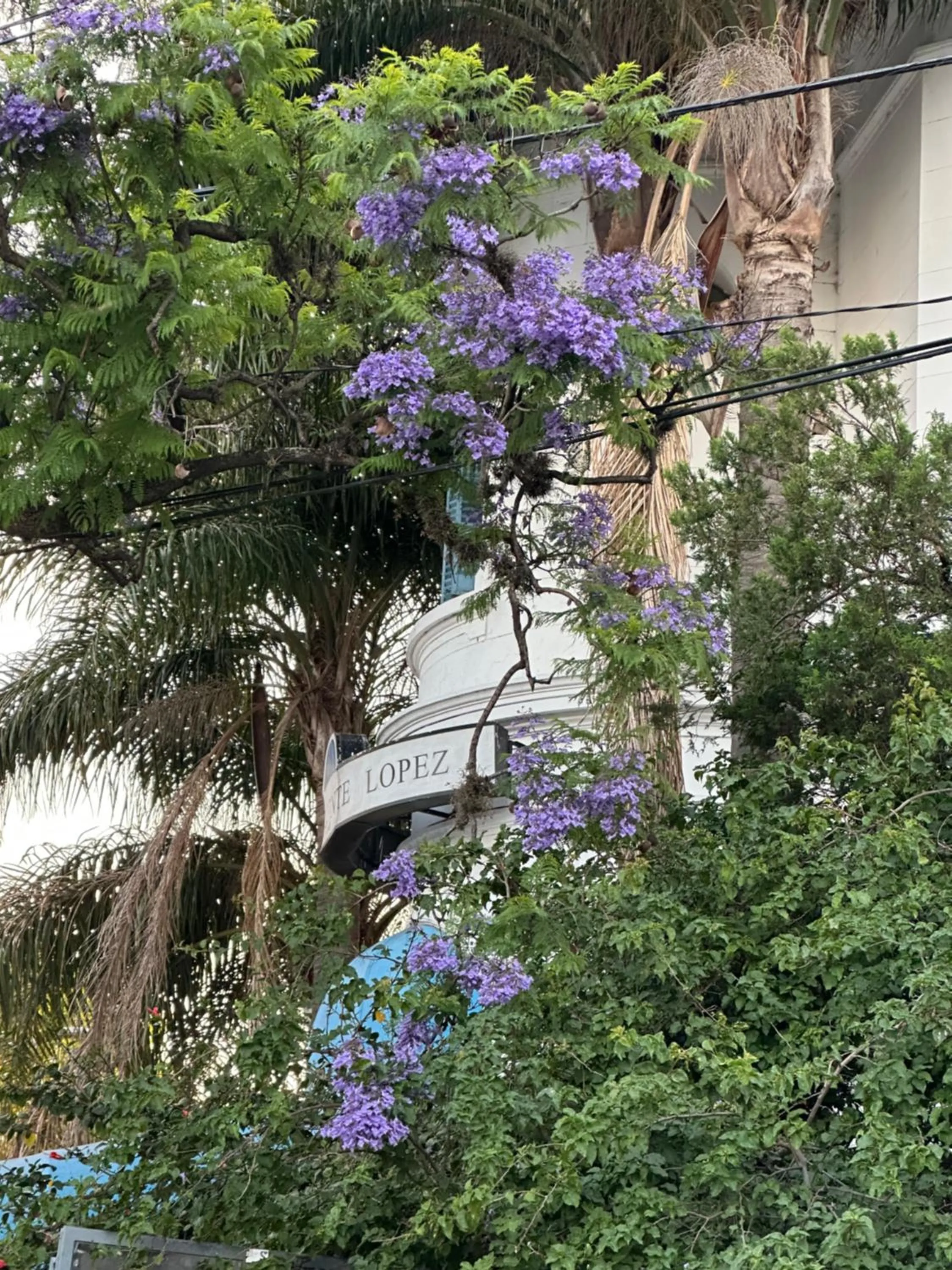 Hotel Vicente López