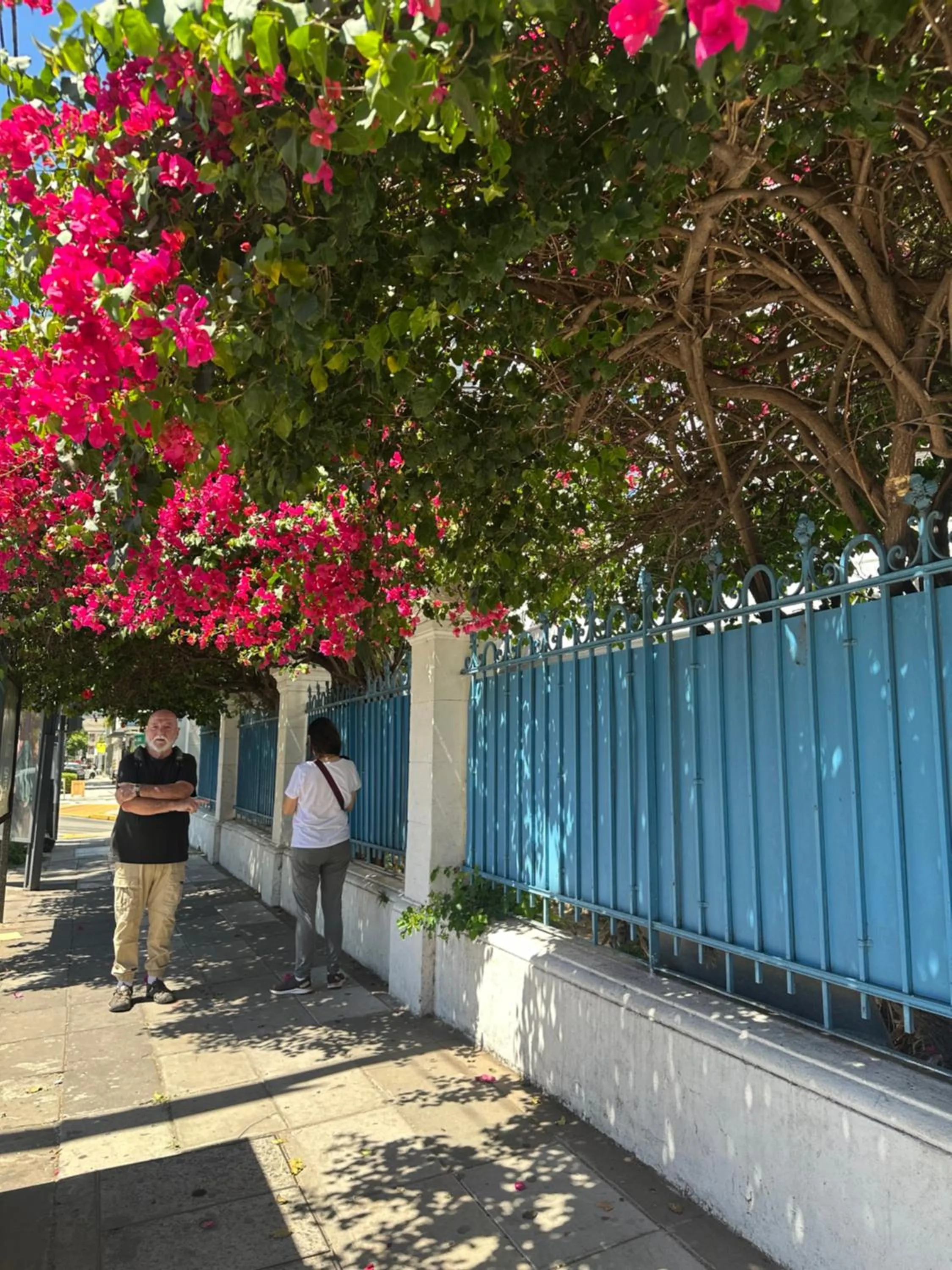 Hotel Vicente López
