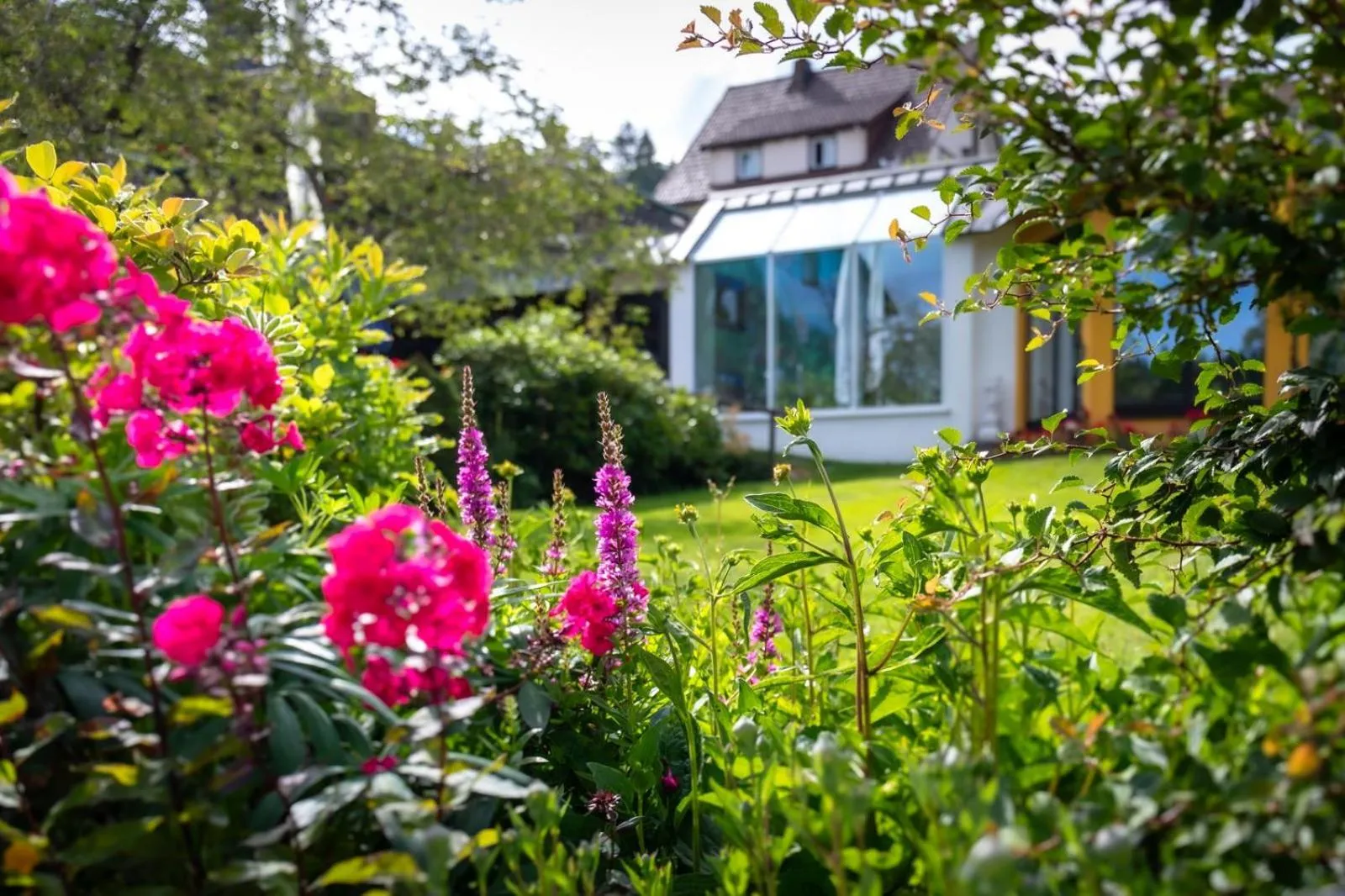 Spa and wellness centre/facilities in Boutique Hotel Dorer