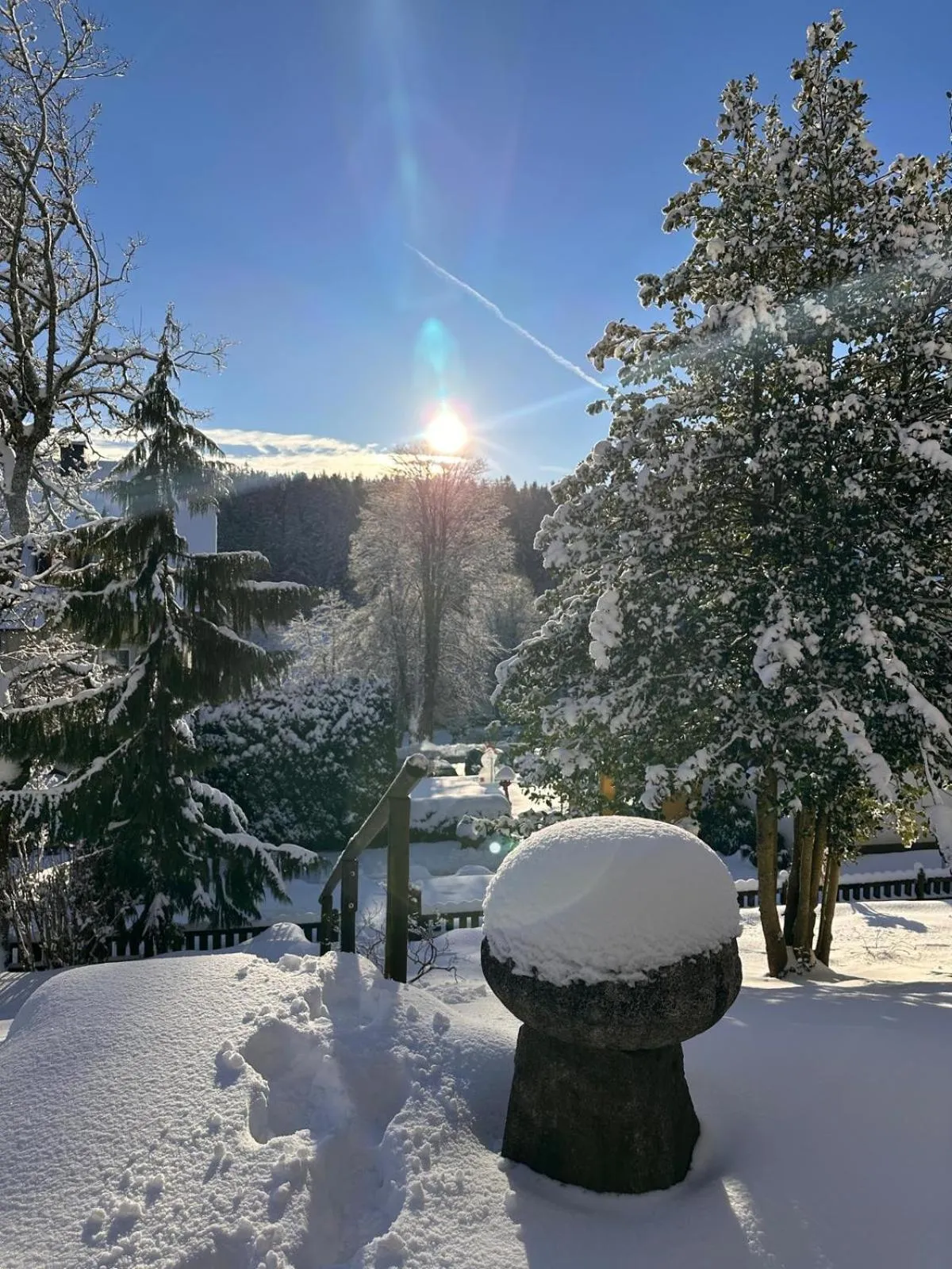 Property building in Boutique Hotel Dorer