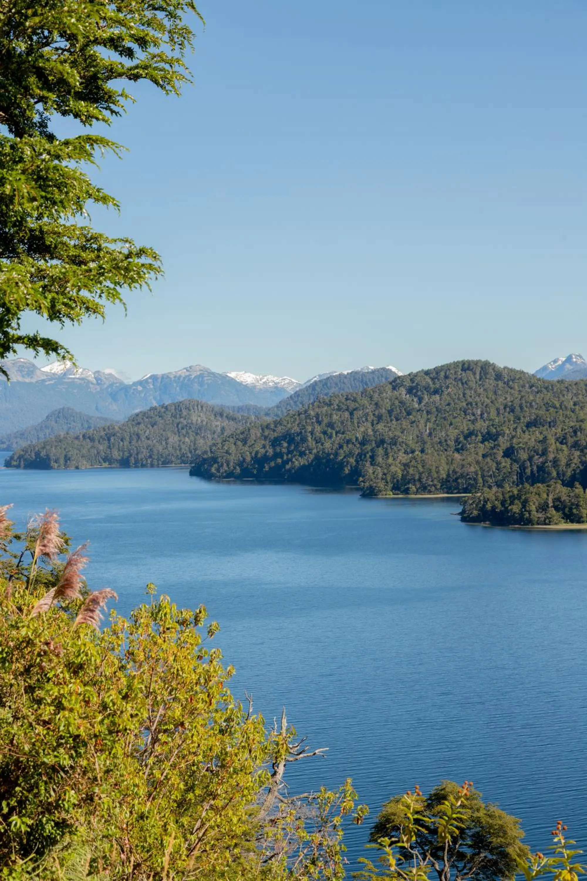 Natural landscape in Guardianes Del Bayo
