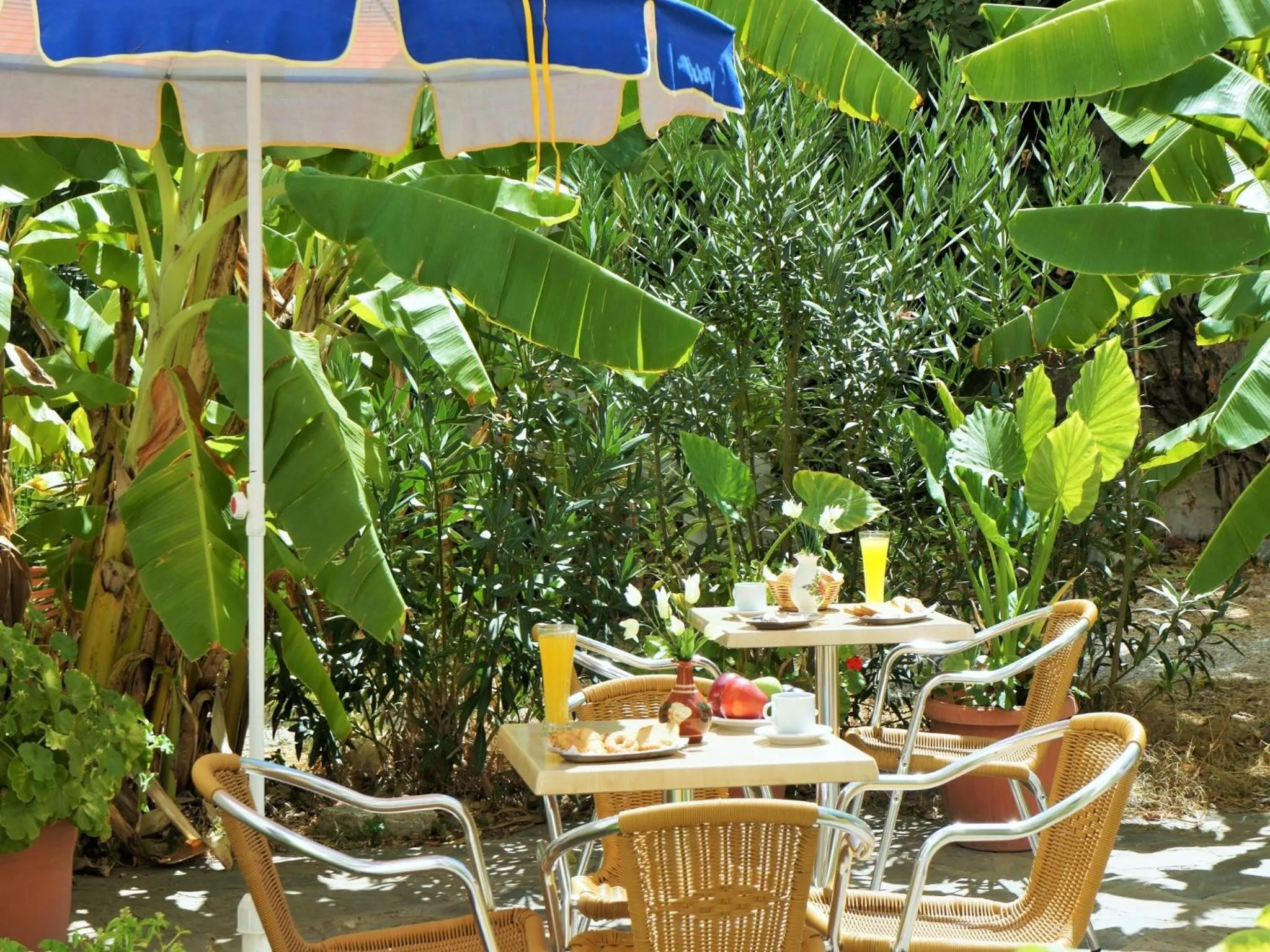Garden in Anthemis Hotel