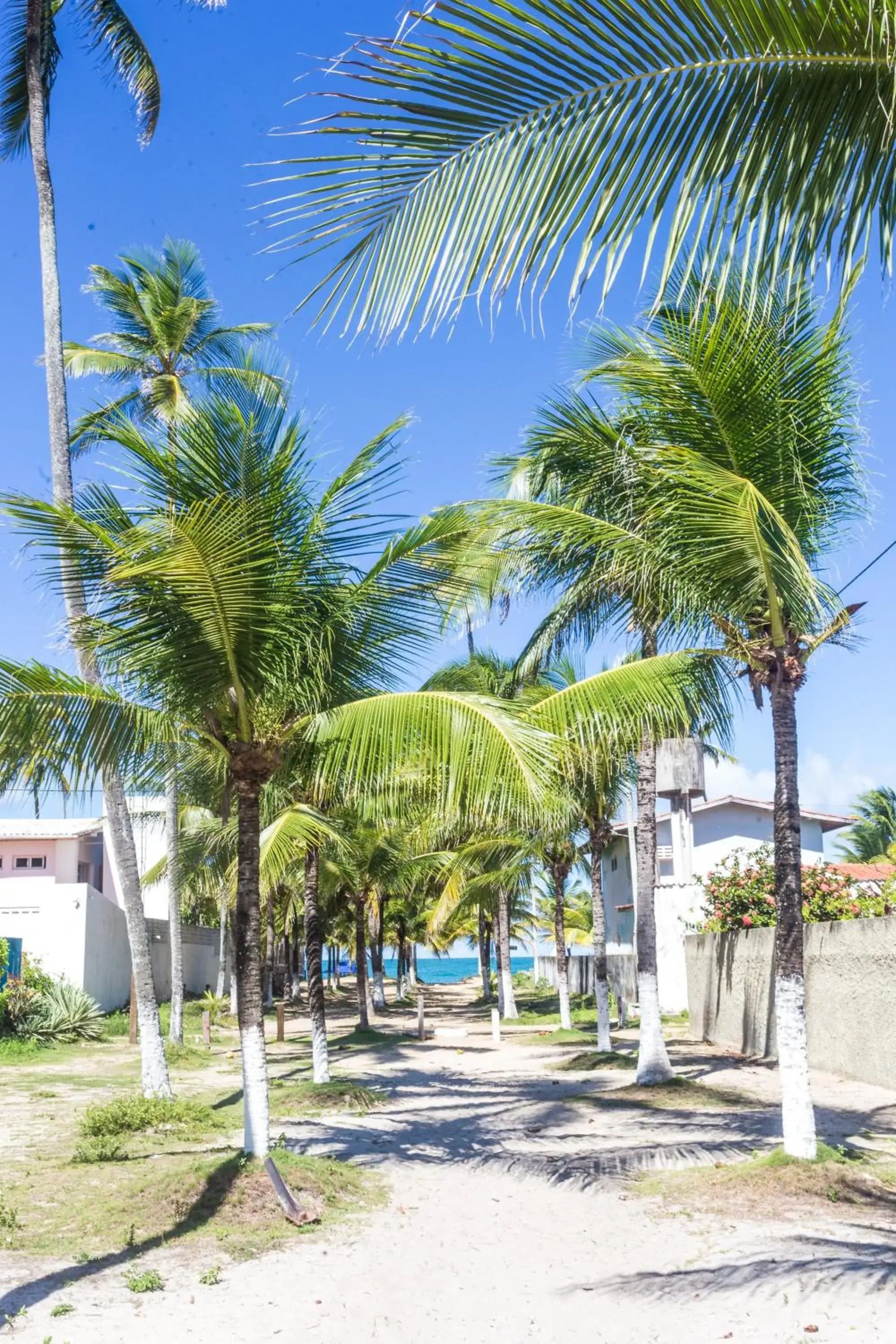 Beach in Vila do Galo Beach in Vila do Galo