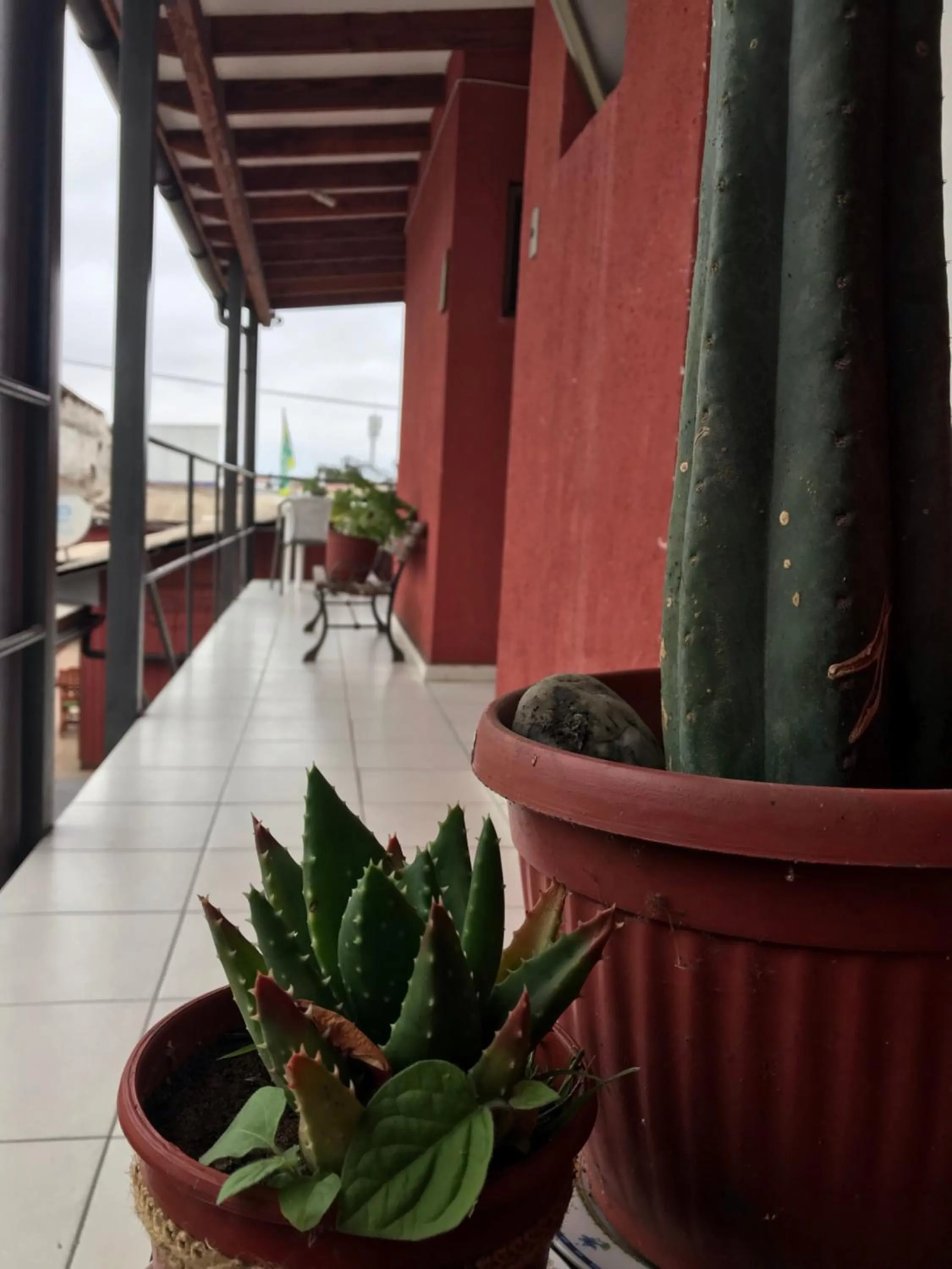 Balcony/Terrace in Hostal Avenue