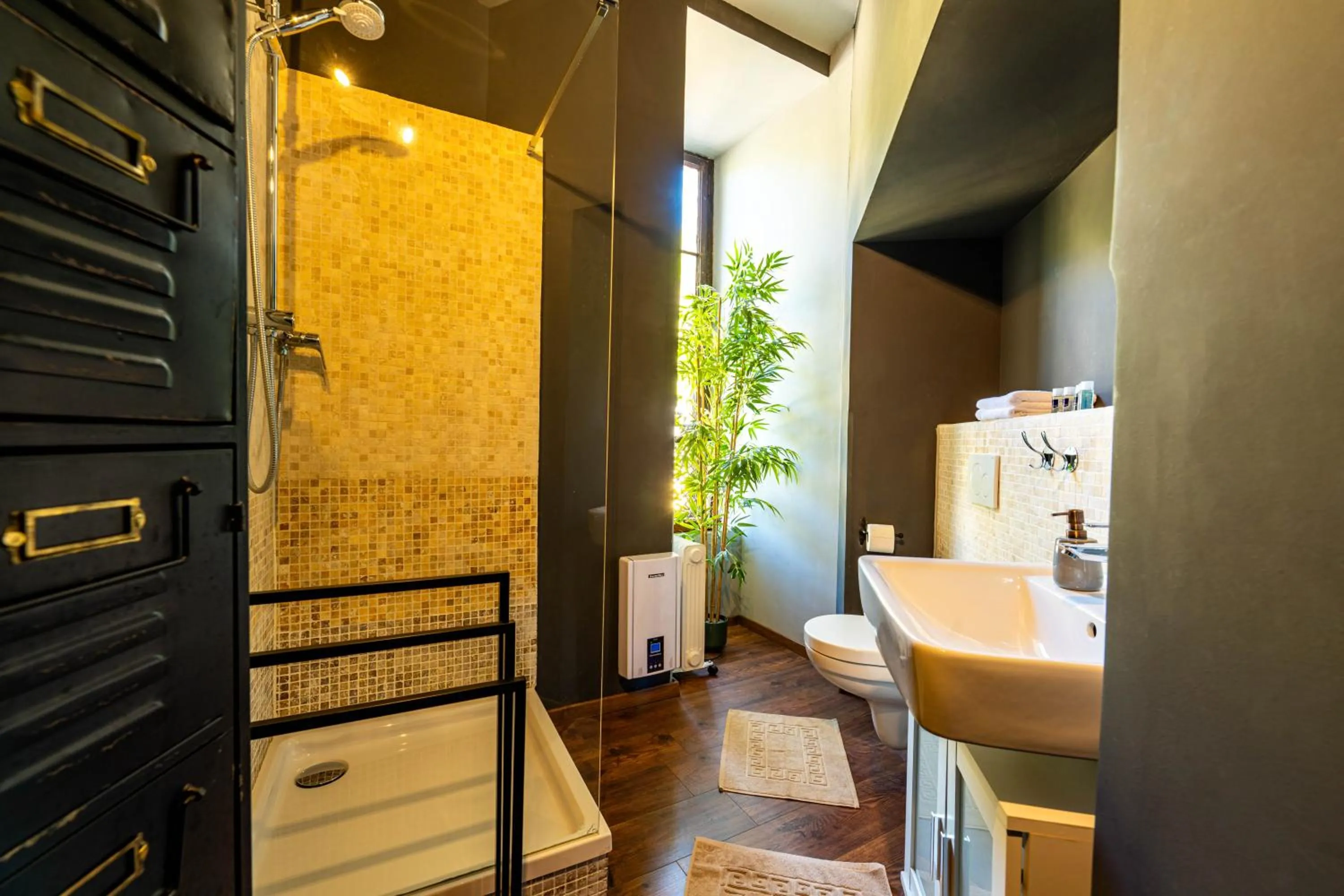 Shower in Schloss Arenfels