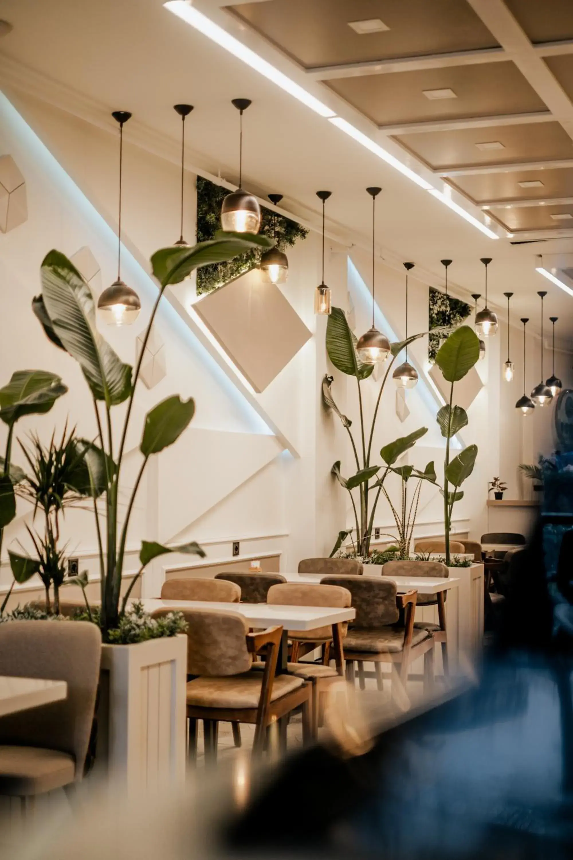 Restaurant/places to eat in MY Smart Restaurant/places to eat in MY Smart