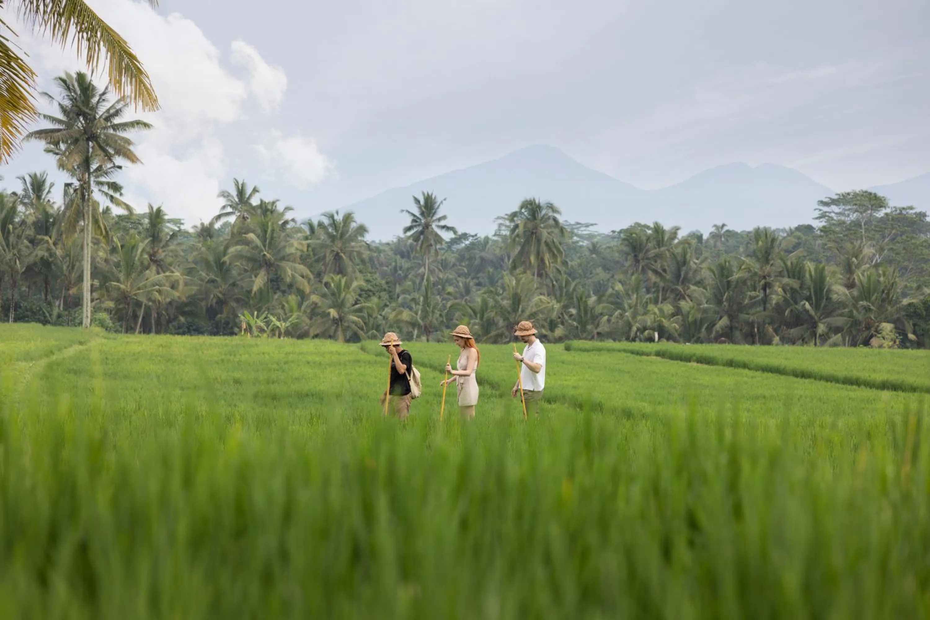 Activities in Santris Villas by GenuineHost