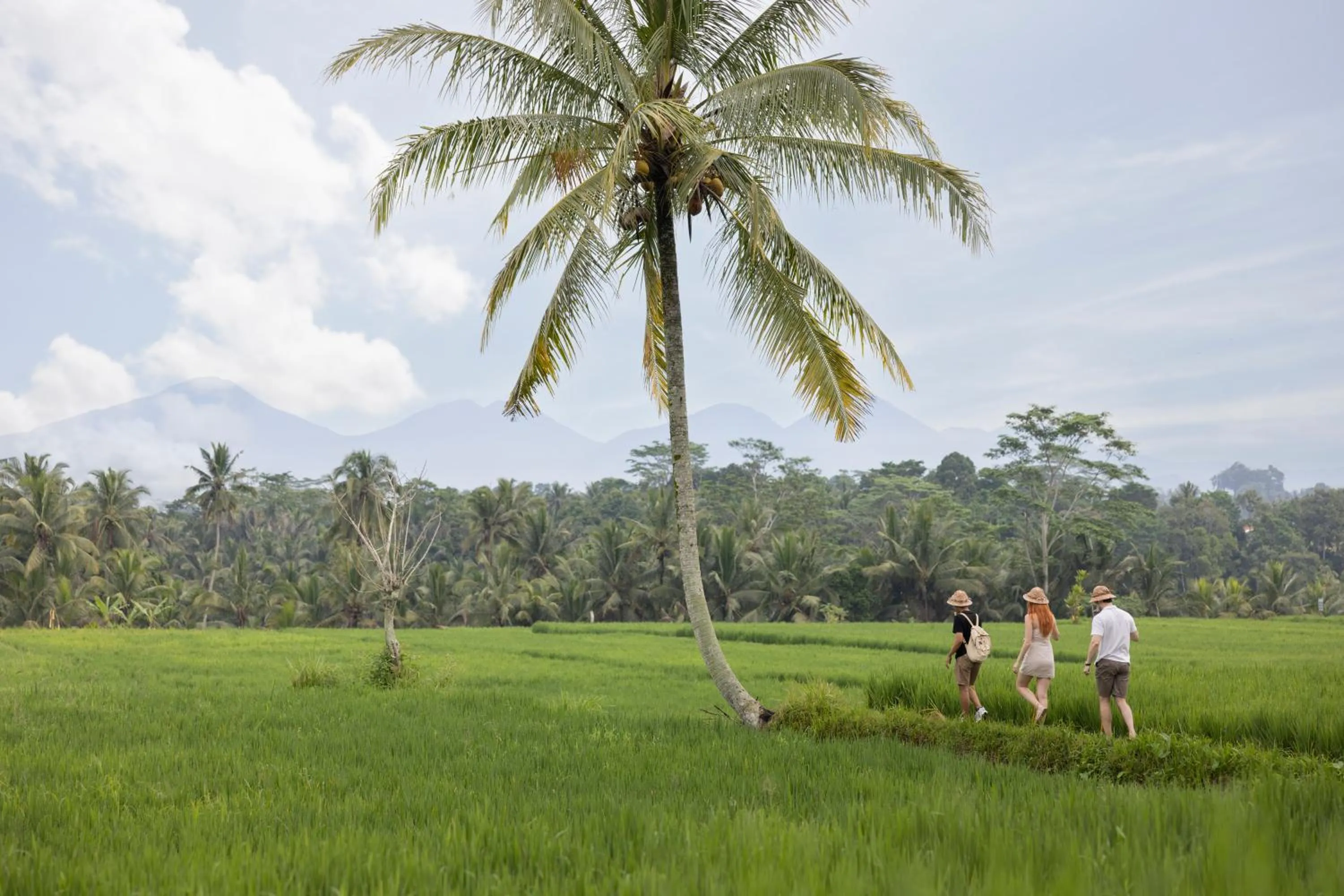 Activities in Santris Villas by GenuineHost