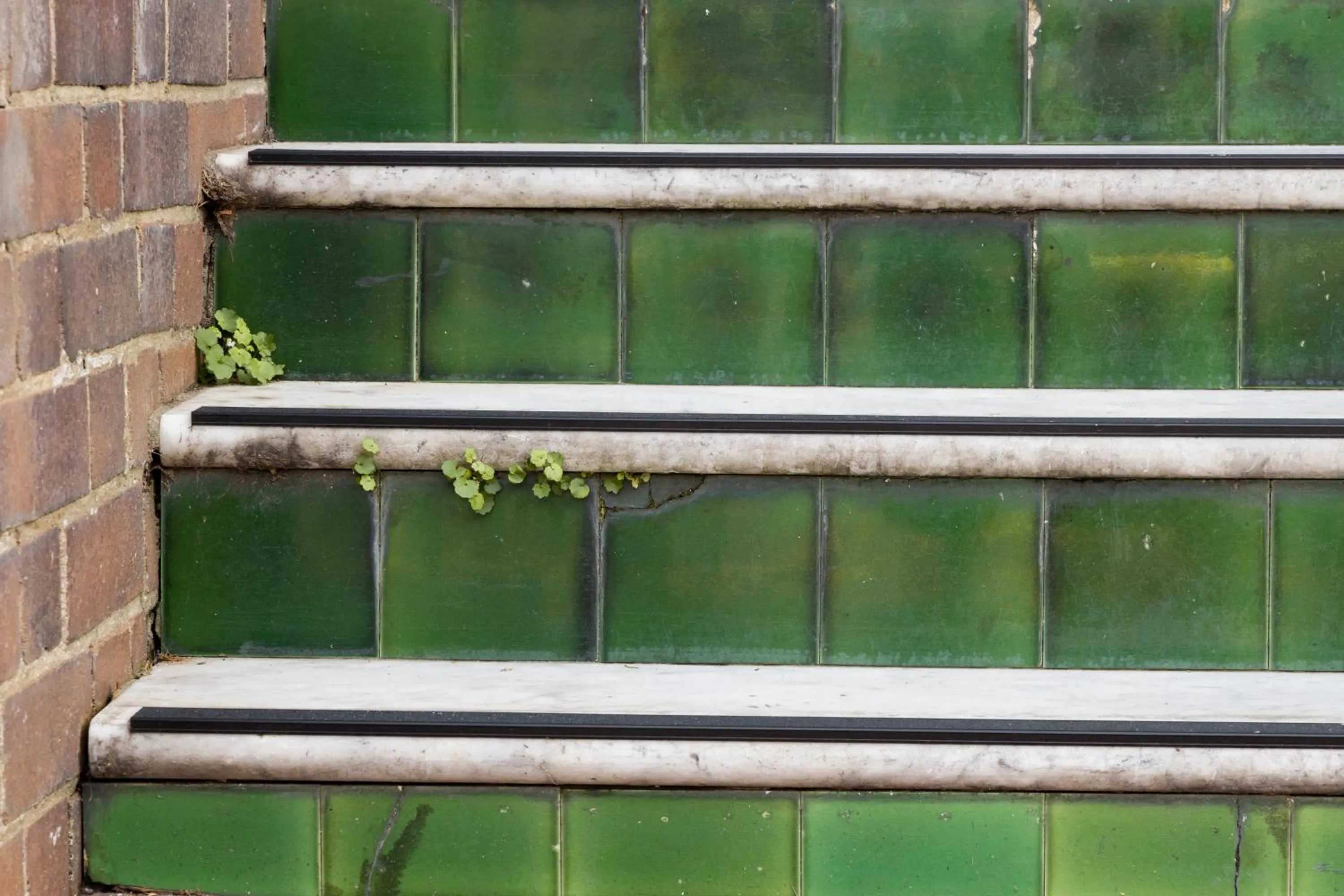Balcony/Terrace in The Alison Randwick
