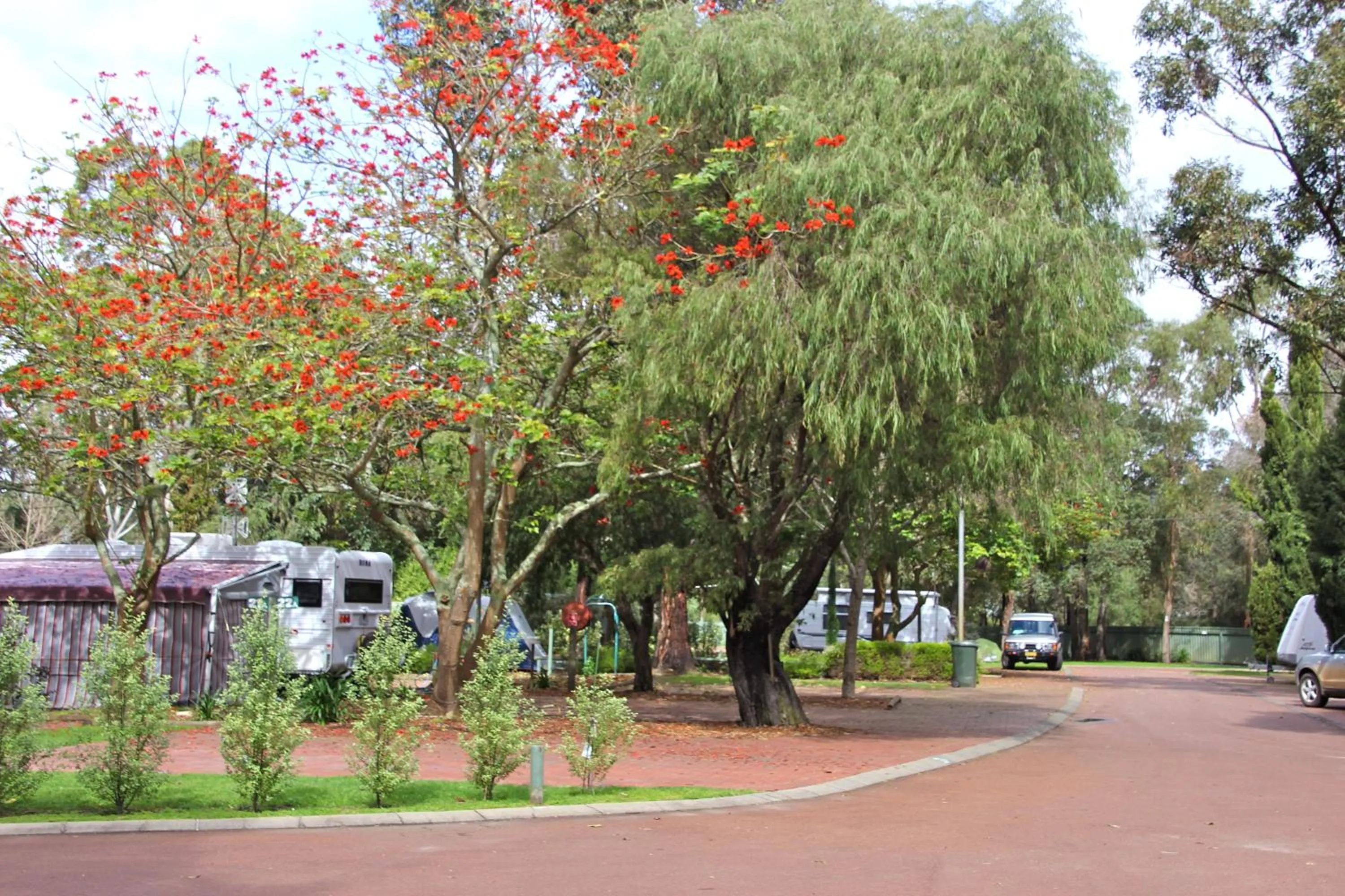 Garden in Margaret River Tourist Park