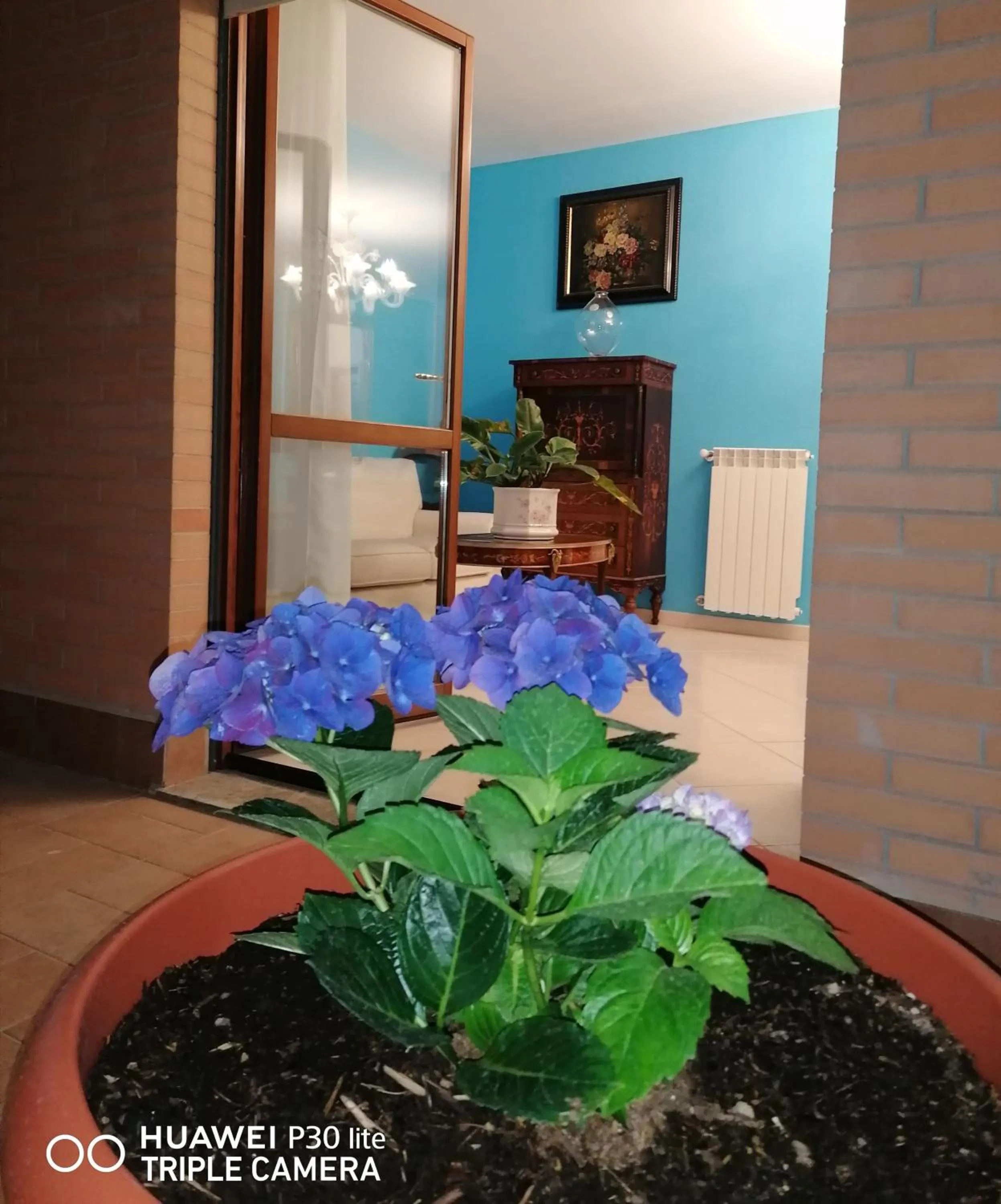 Balcony/Terrace in B&BYanet's Beautiful House