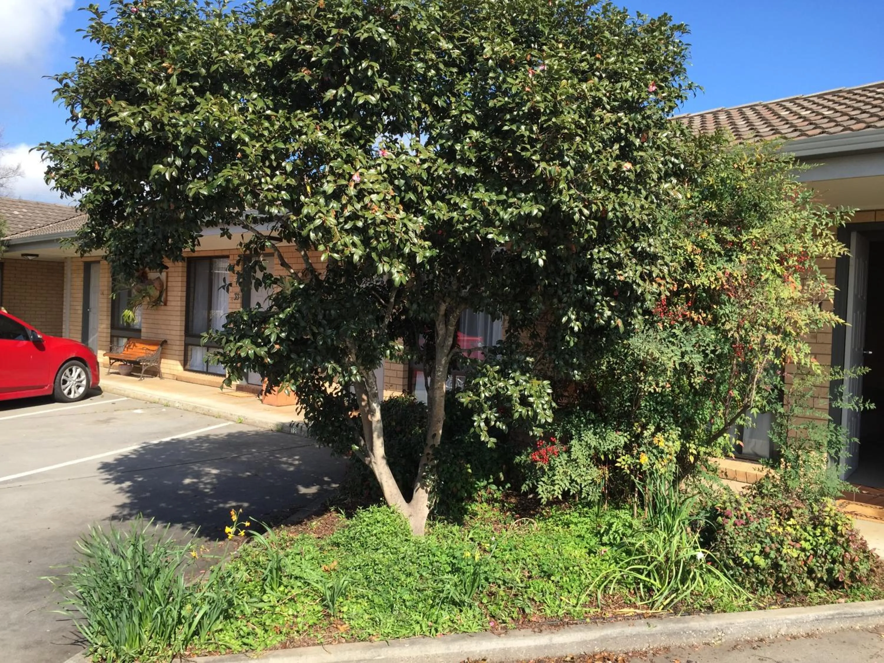 Property building in Albury Allawa Motor Inn