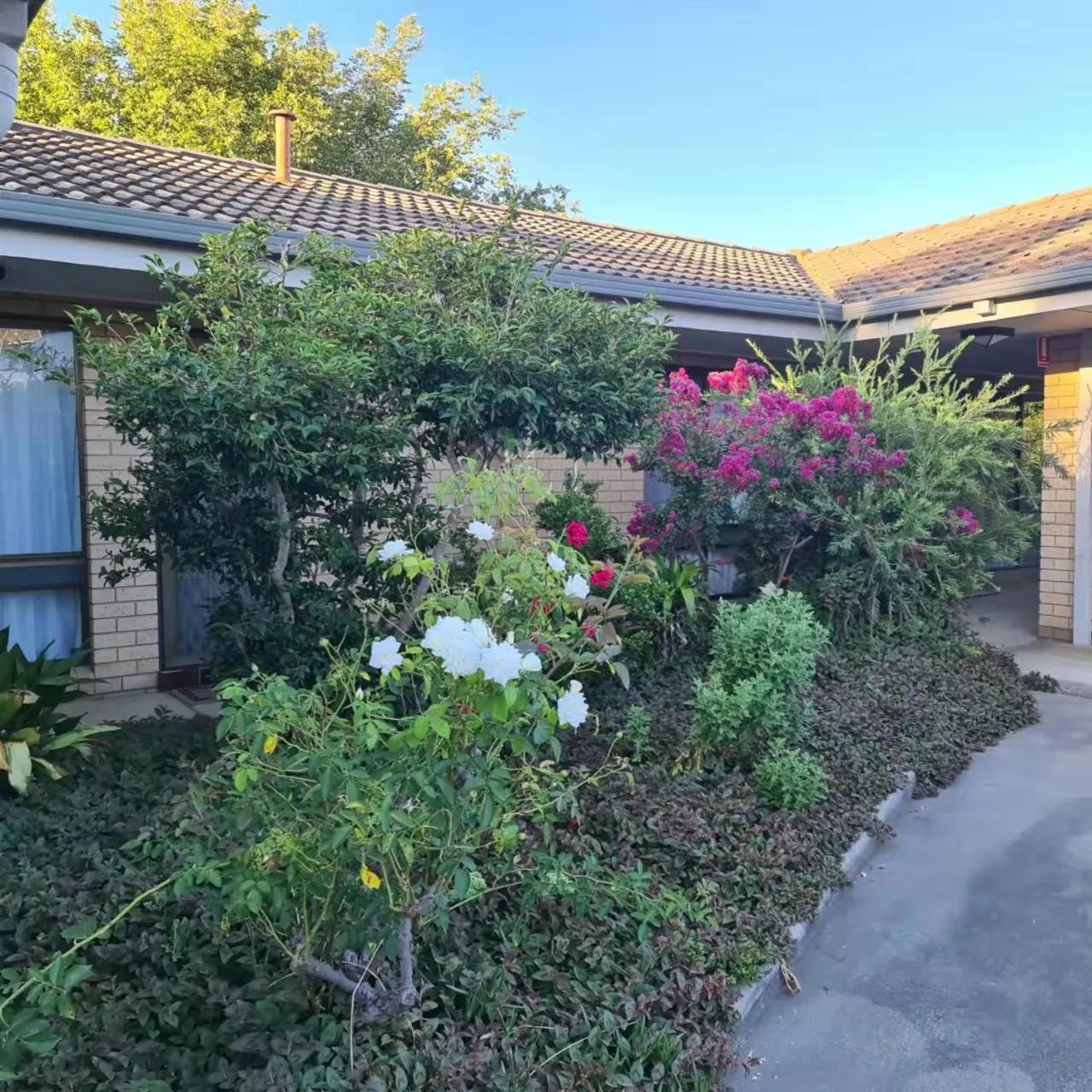 Garden in Albury Allawa Motor Inn