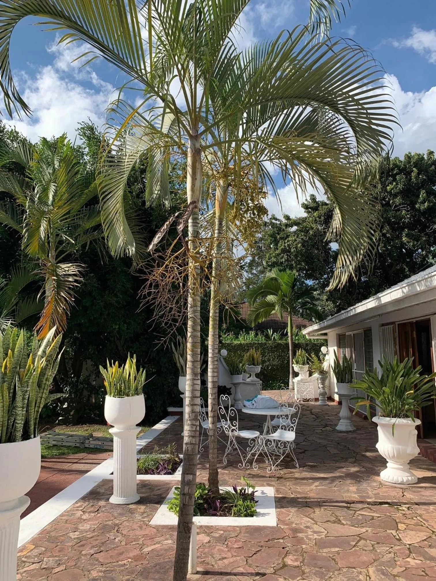 Patio in Copperbelt Executive Accommodation Ndola, Zambia