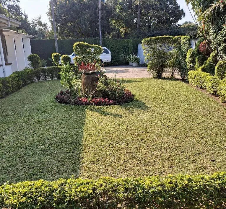Garden in Copperbelt Executive Accommodation Ndola, Zambia
