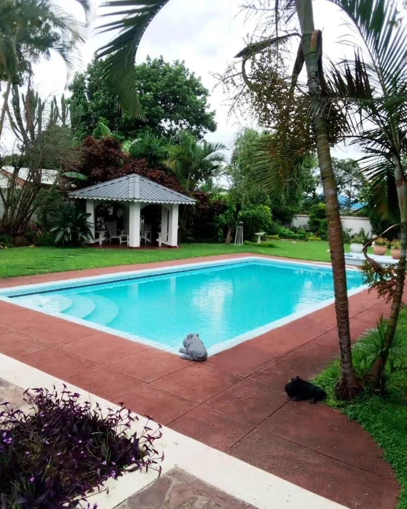 Swimming pool in Copperbelt Executive Accommodation Ndola, Zambia