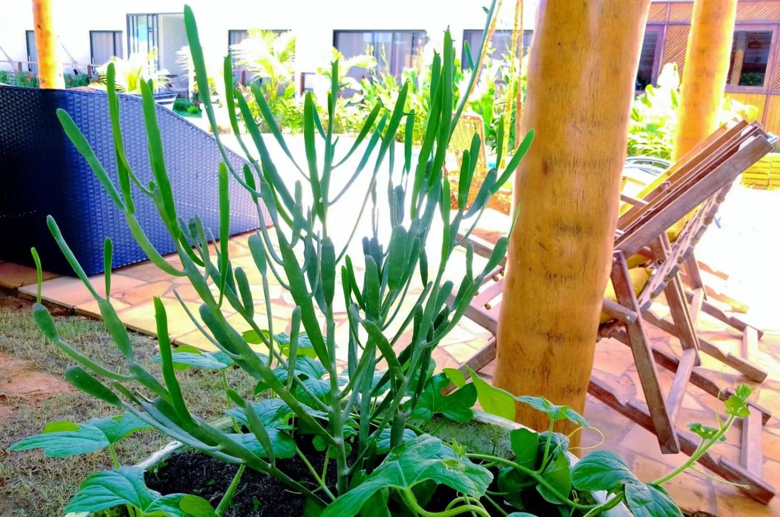 Mar Turquesa Eco Pousada