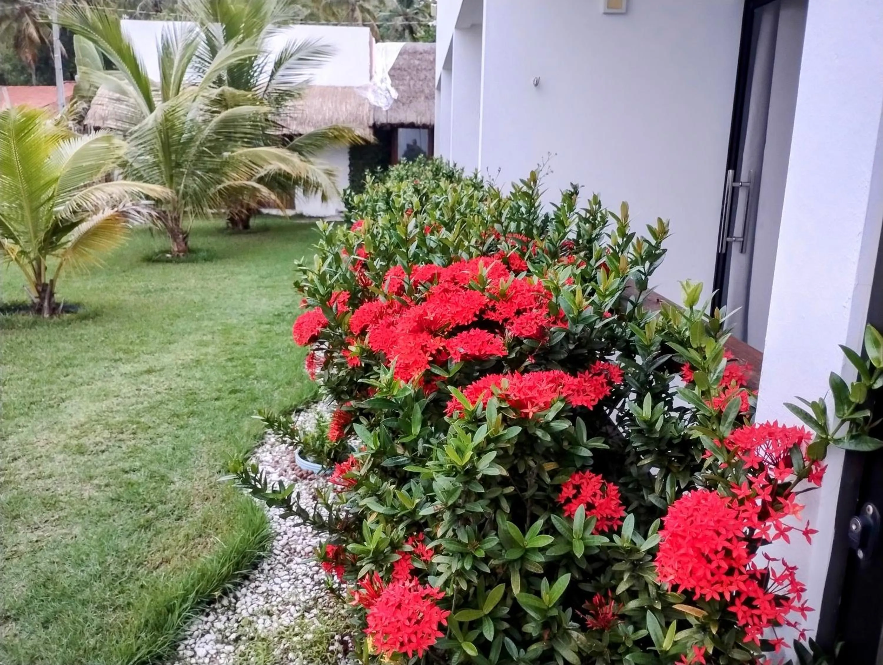 Mar Turquesa Eco Pousada