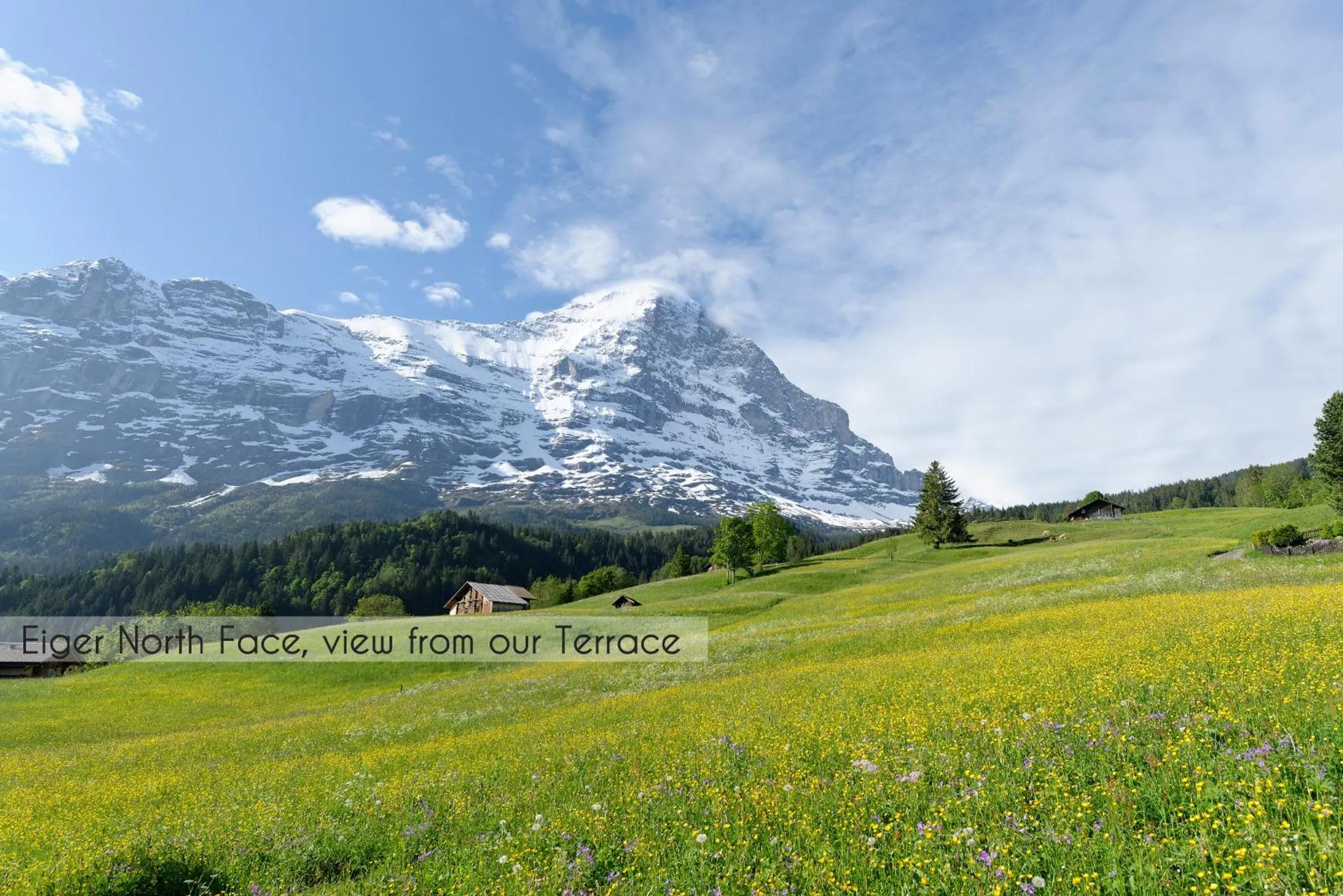 Nearby landmark in Aspen Alpine Lifestyle Hotel