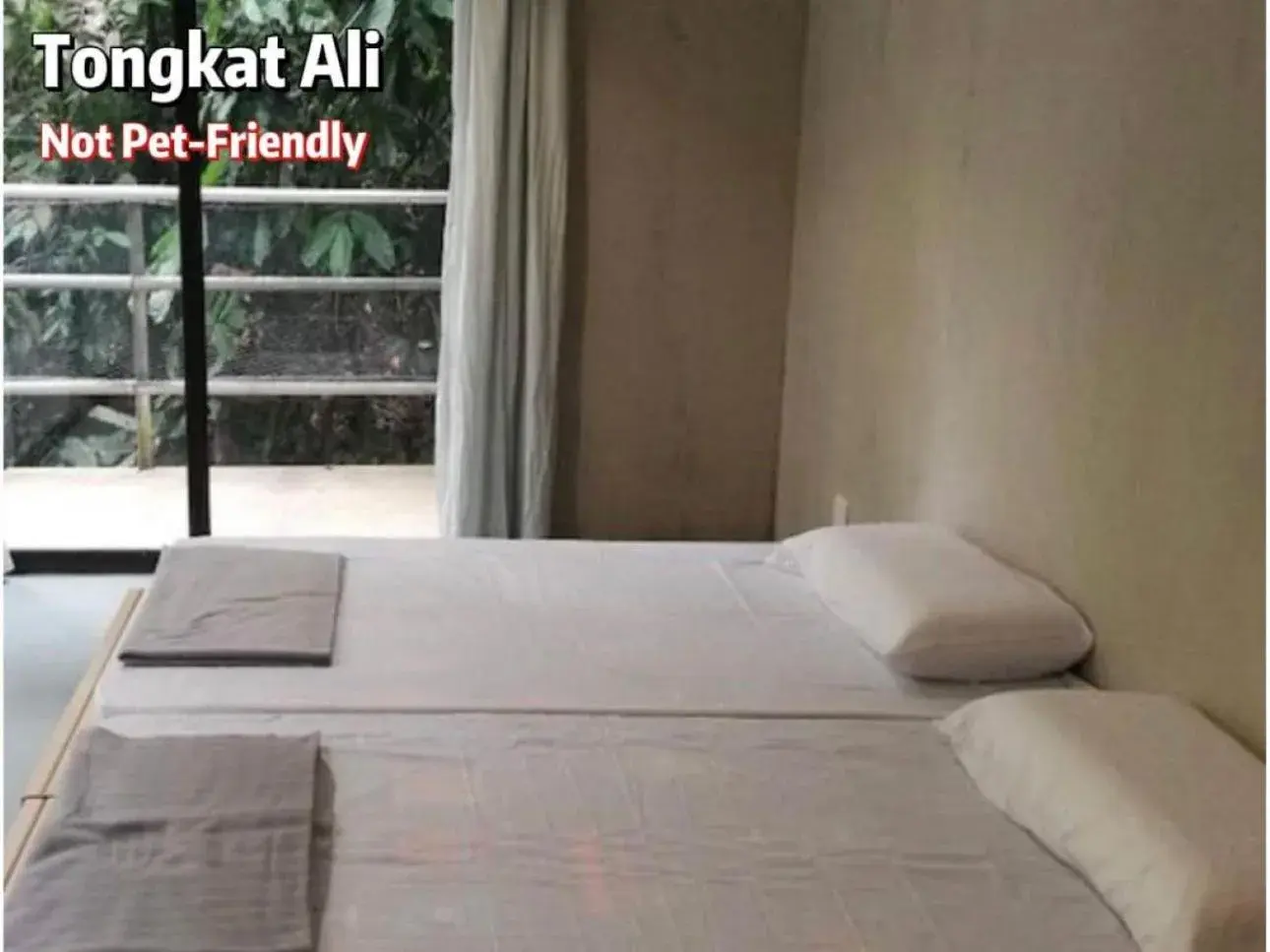 Twin Room with Private Bathroom in Gibbon Retreat Bentong Twin Room with Private Bathroom in Gibbon Retreat Bentong