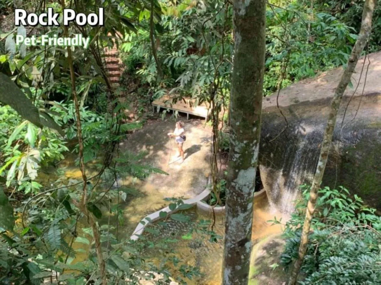 Gibbon Retreat Bentong