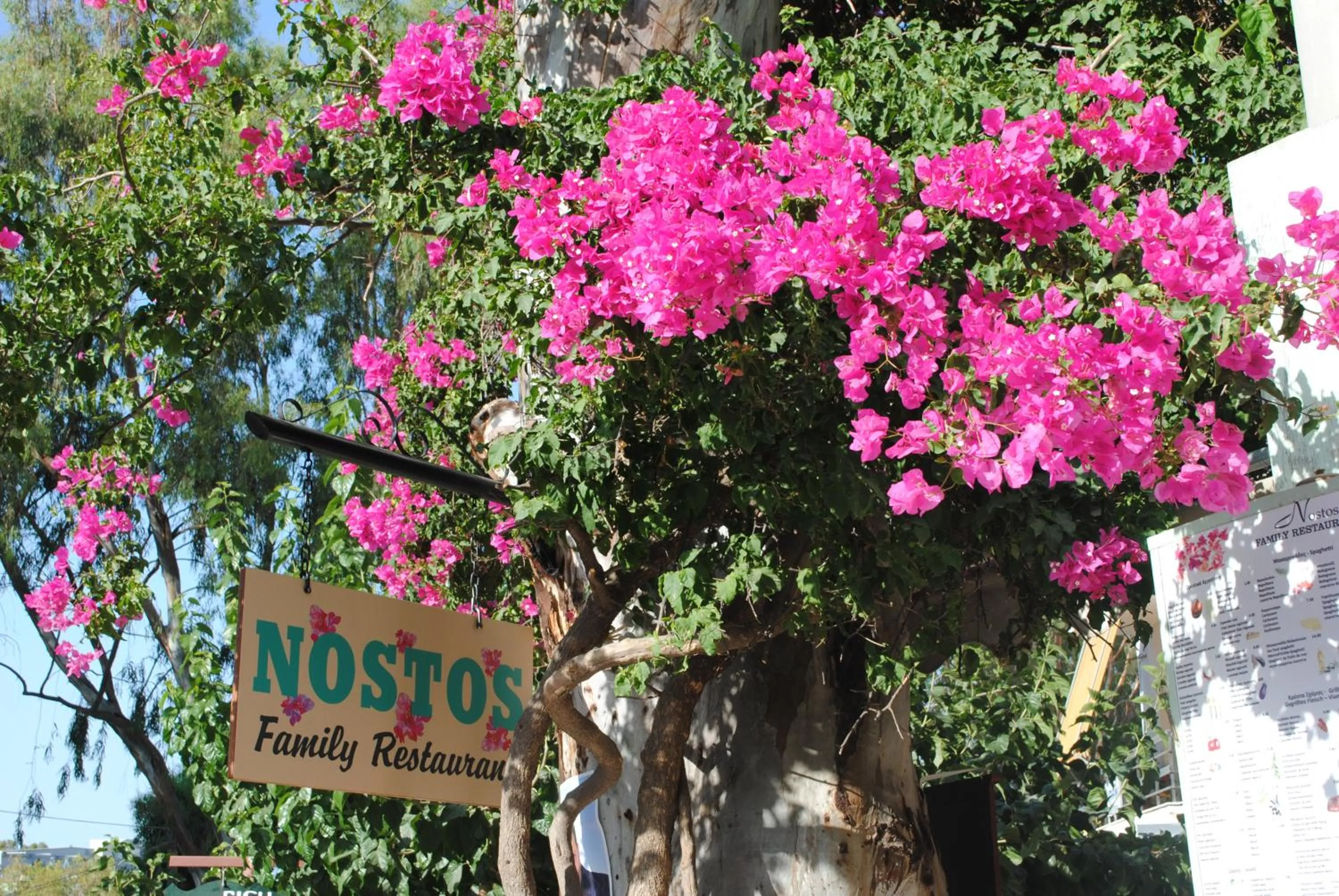 Restaurant/places to eat in River Side