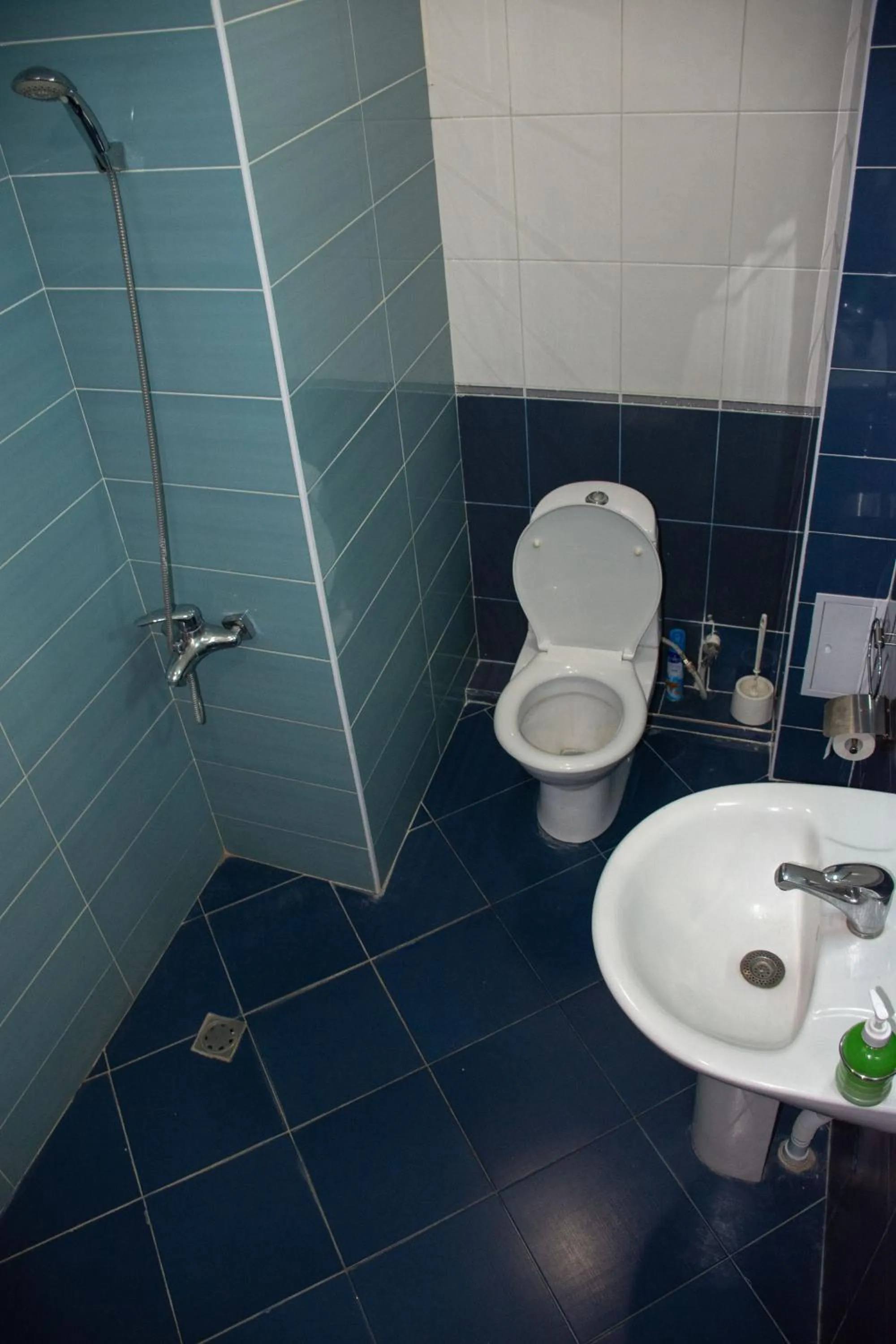 Bathroom in JR's House