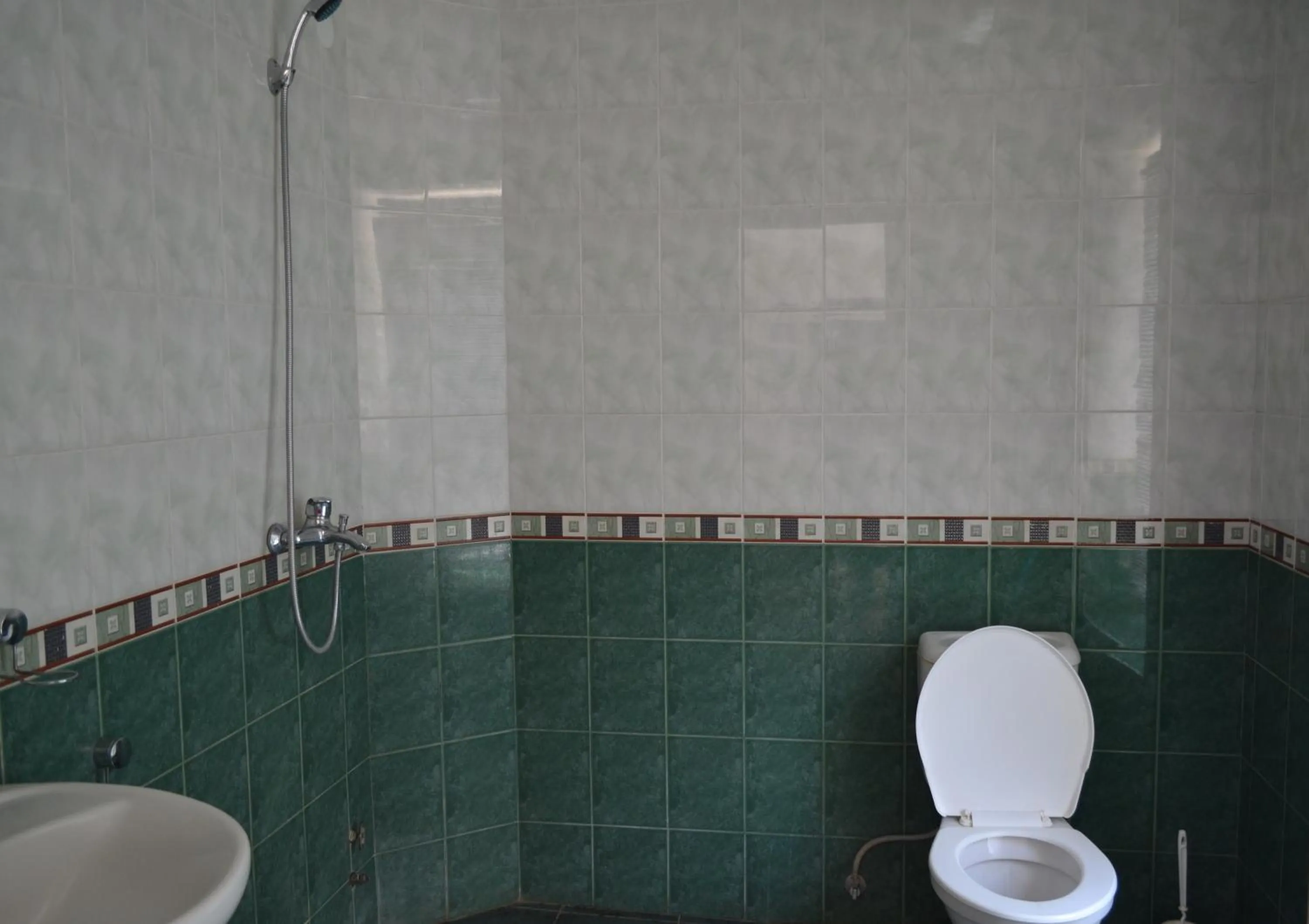 Bathroom in JR's House