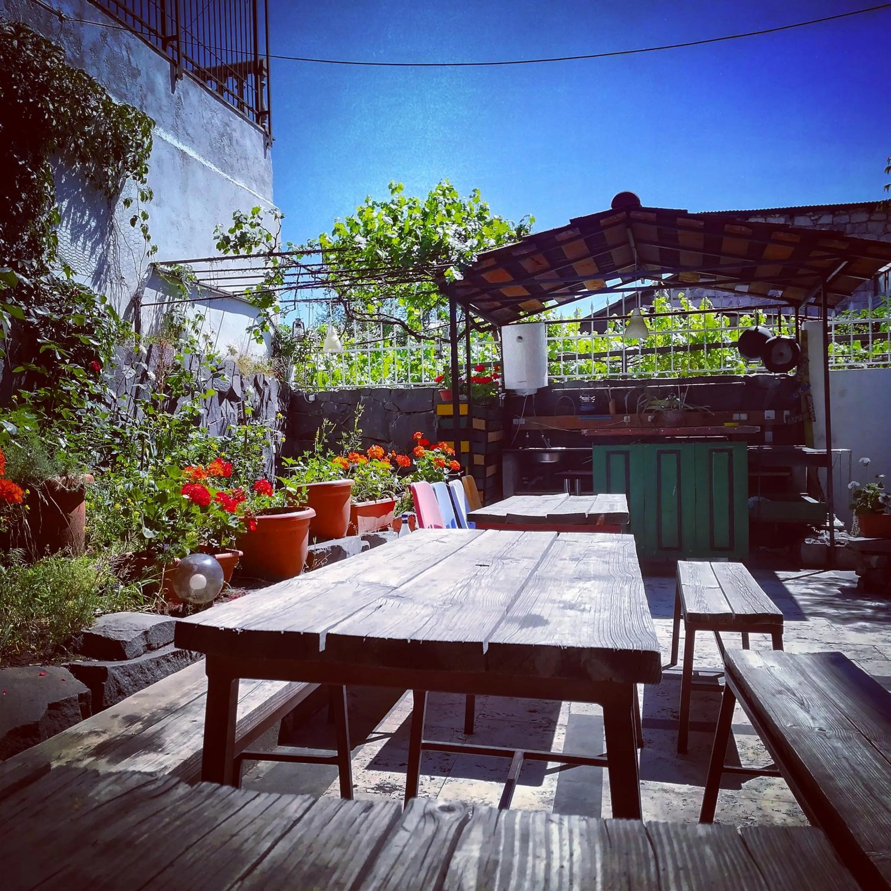 Garden in JR's House