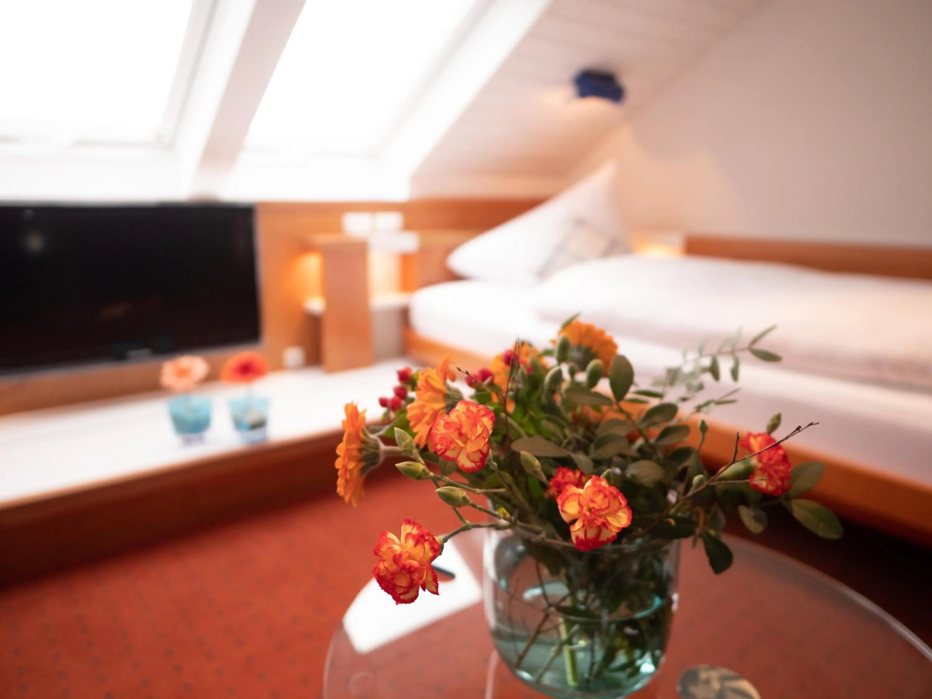 TV and multimedia, Bed in Hanseat