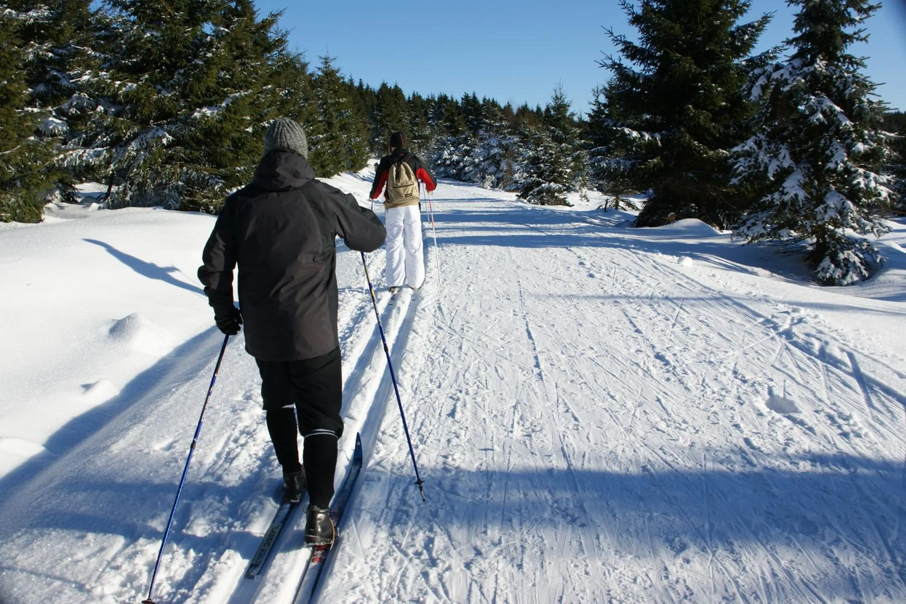 Skiing in Werrapark Familienresort Hotel Heubacher Höhe
