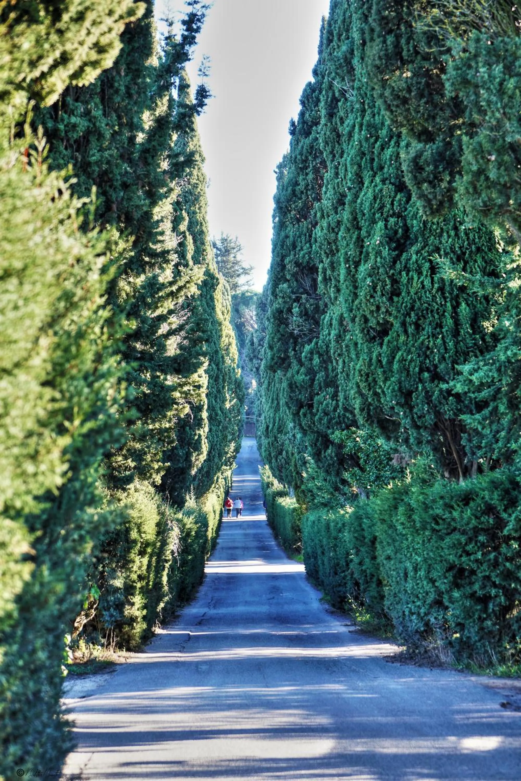 Spring in La Suite Toscana