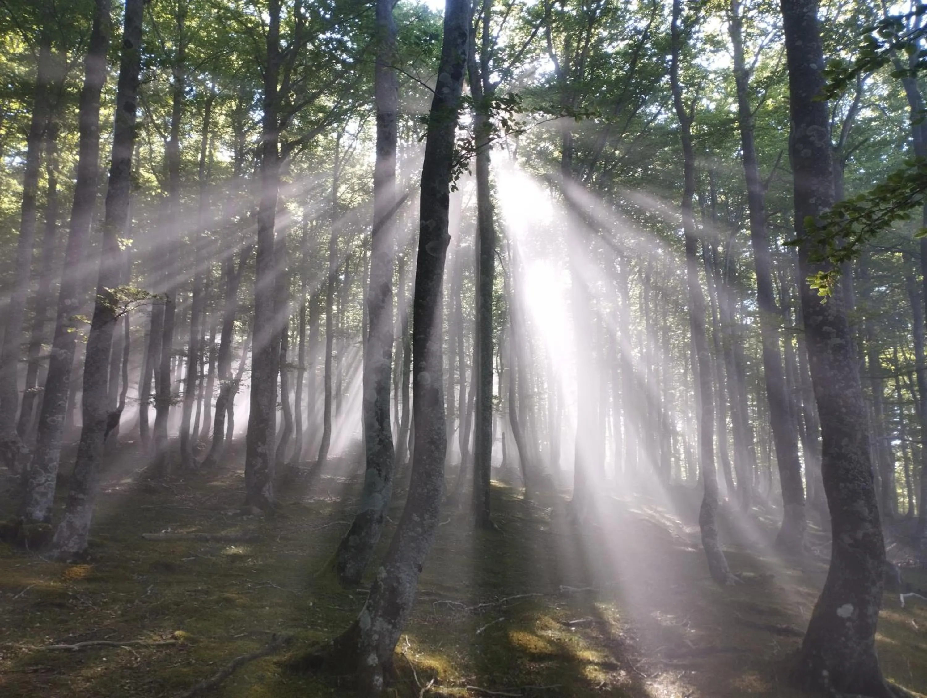 Hiking in Soraluze Hotela