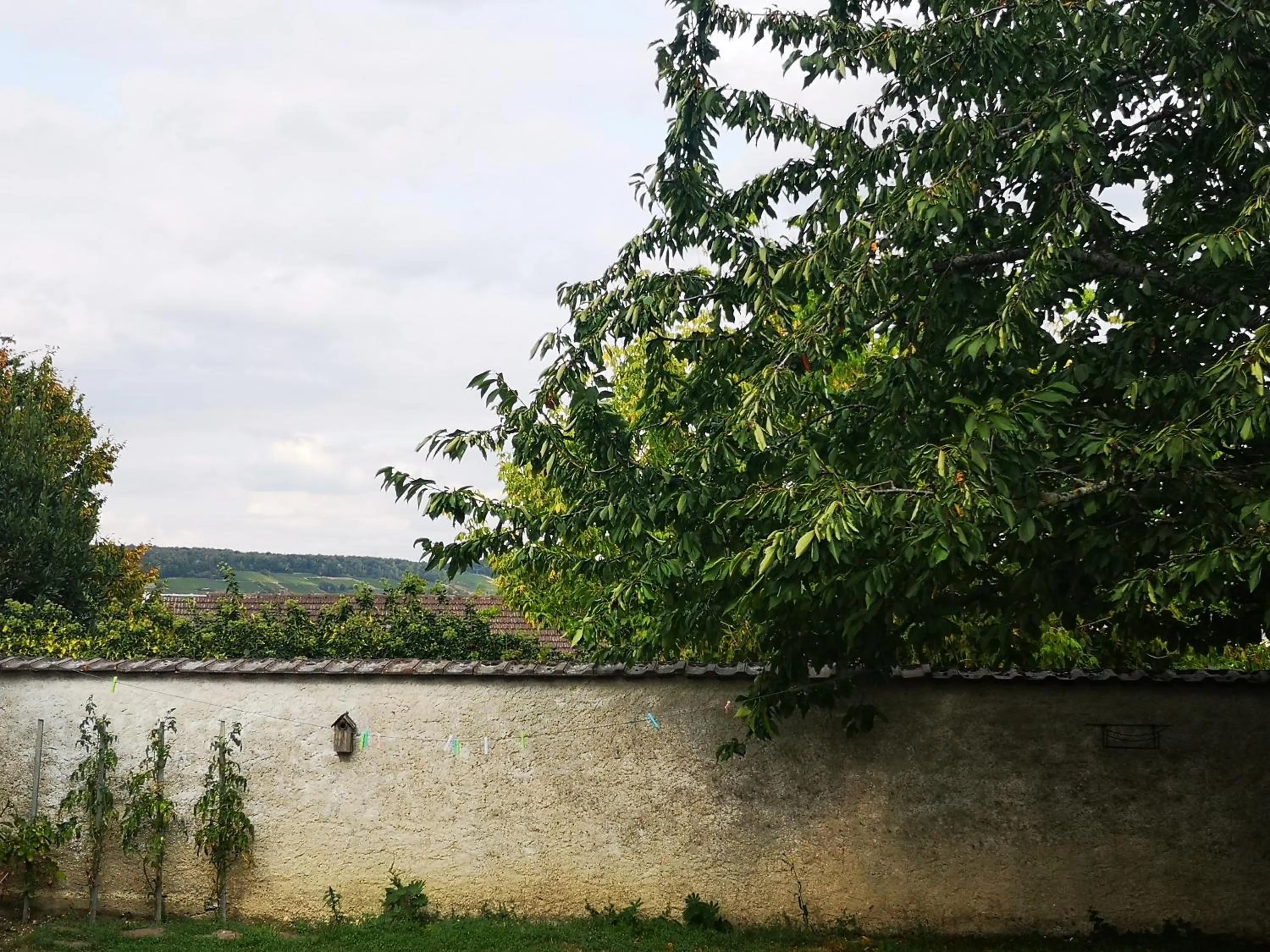 Garden in Le Temps d une Pause à Boursault