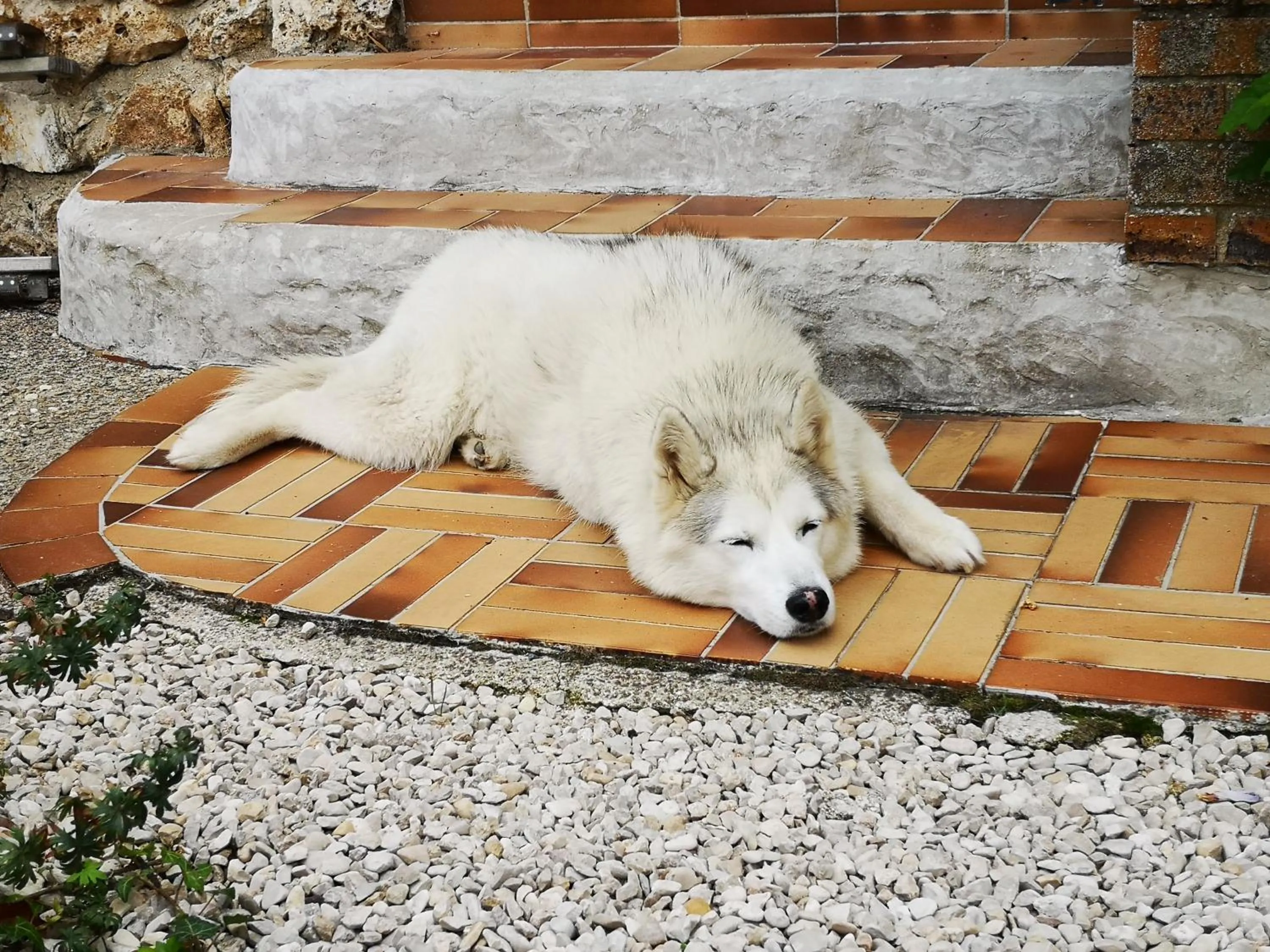 Other in Le Temps d une Pause à Boursault