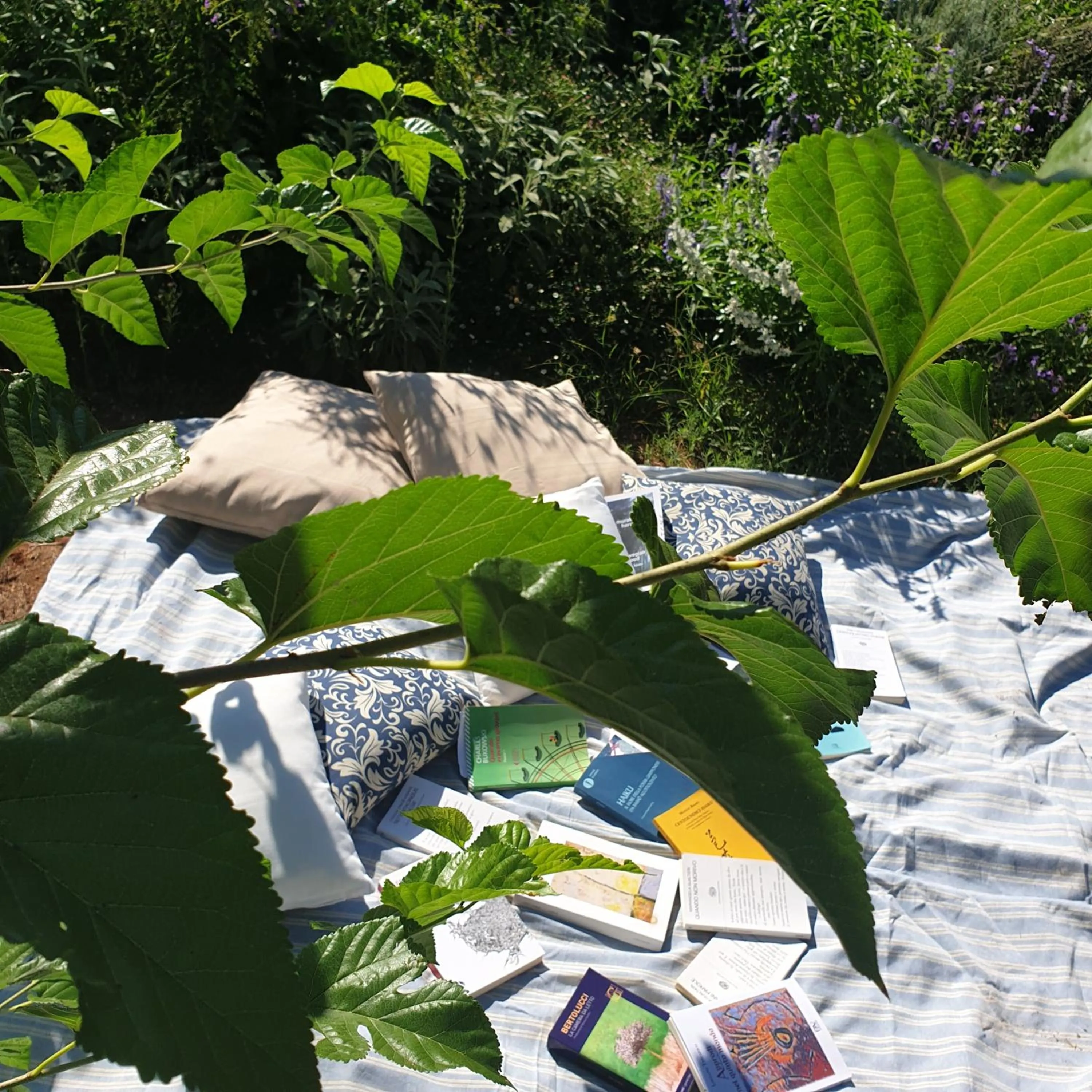 B&B Il giardino ritrovato