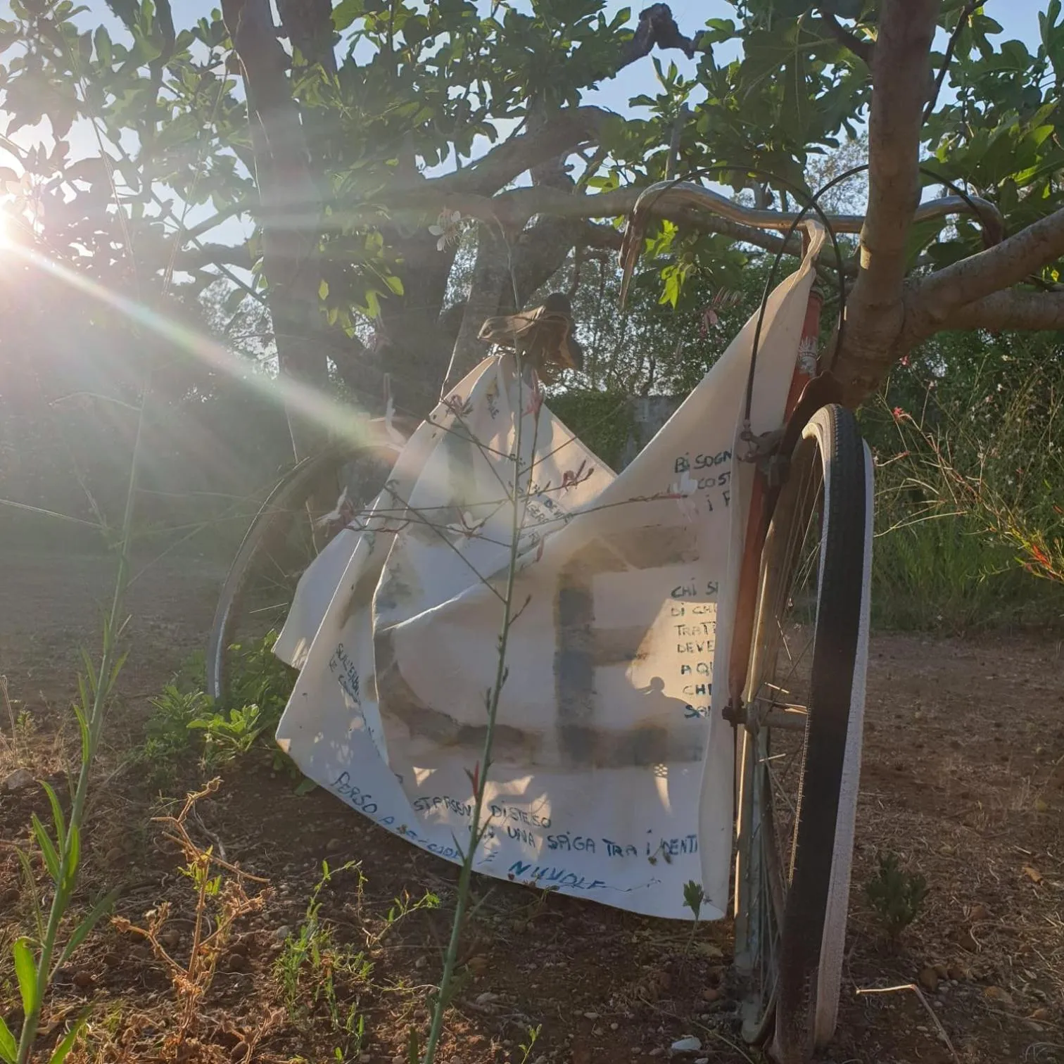 B&B Il giardino ritrovato